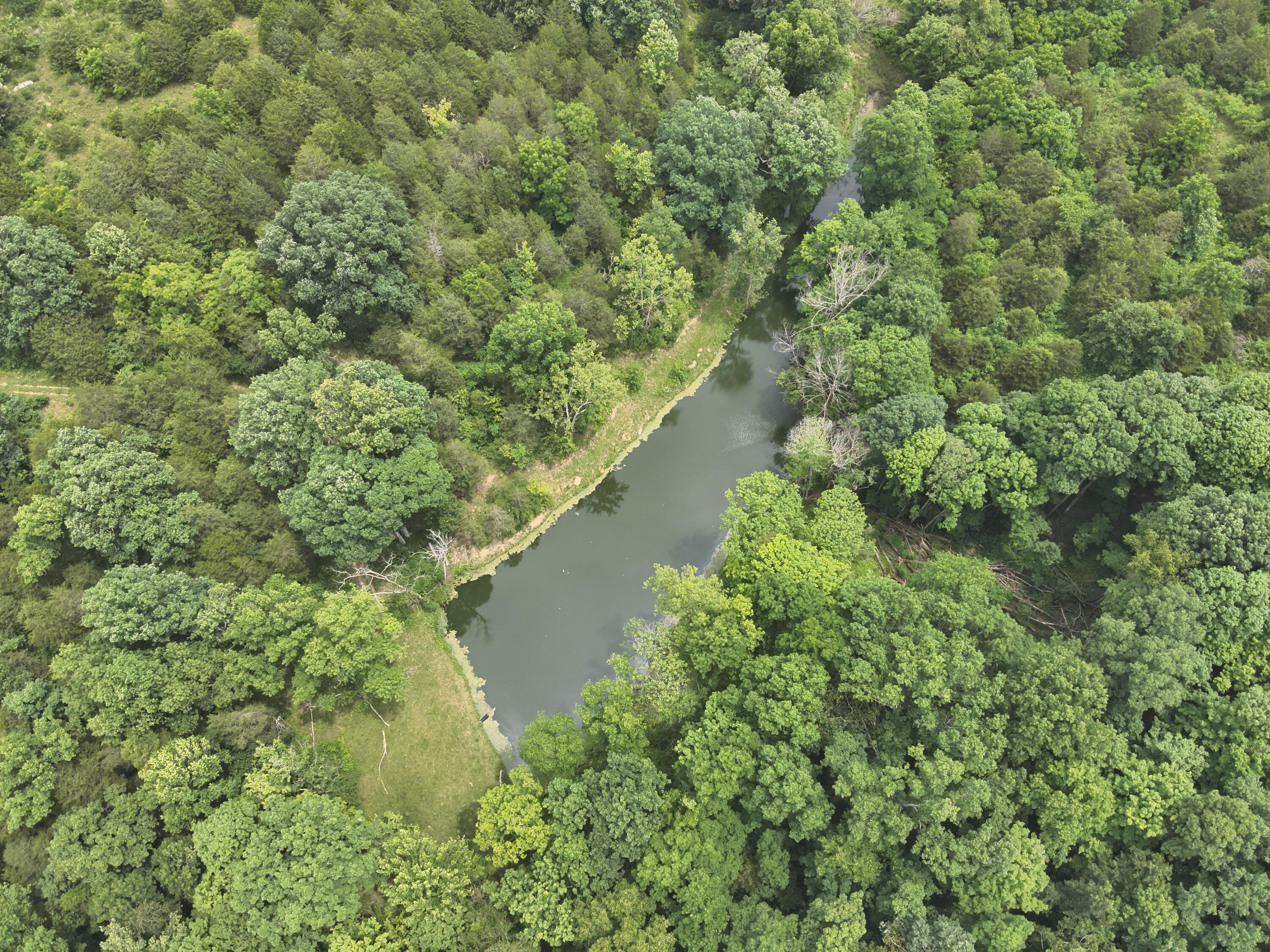 0 Pea Ridge Road Property Photo 29