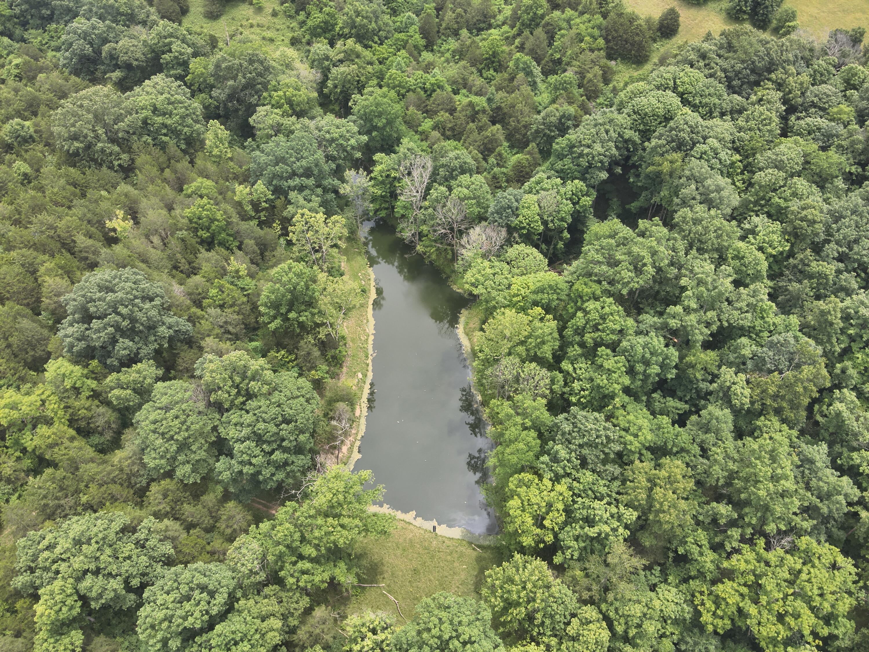 0 Pea Ridge Road Property Photo 30