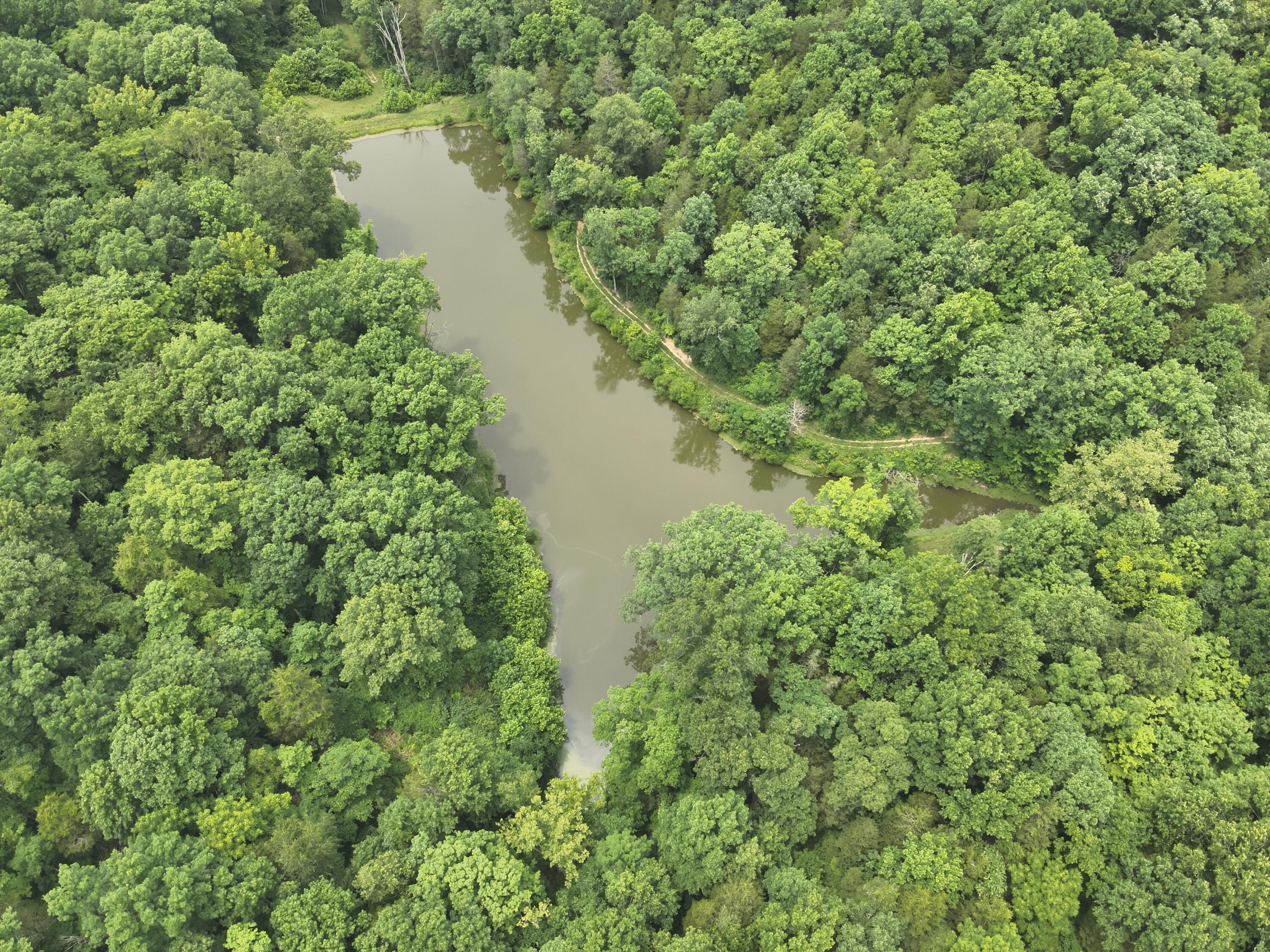 0 Pea Ridge Road Property Photo 31