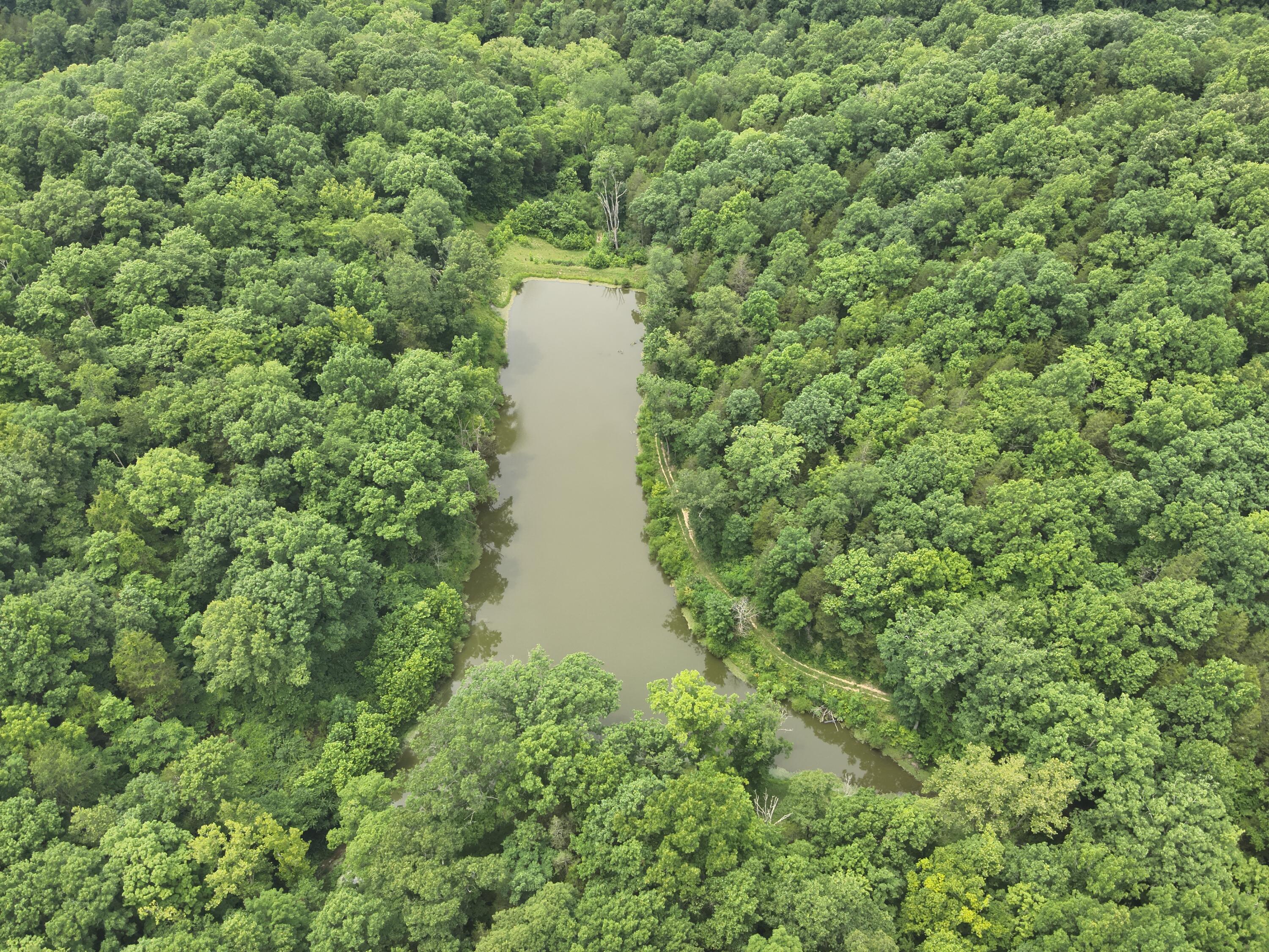 0 Pea Ridge Road Property Photo 32