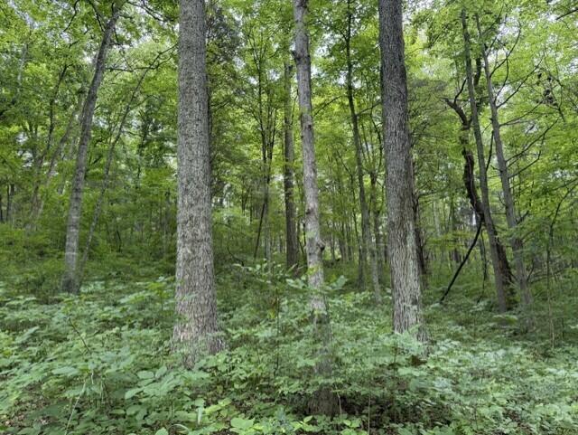 0 Pea Ridge Road Property Photo 33
