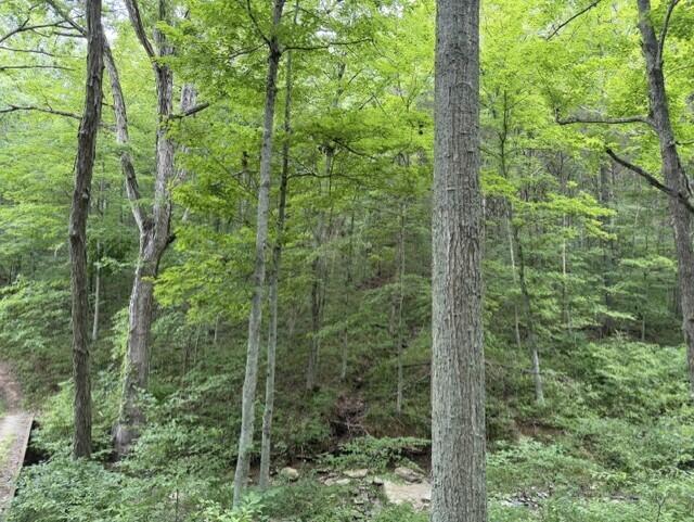 0 Pea Ridge Road Property Photo 34