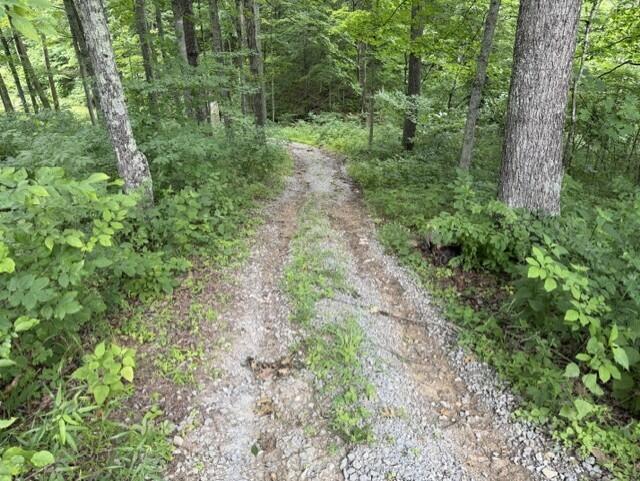 0 Pea Ridge Road Property Photo 35