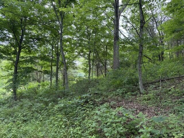 0 Pea Ridge Road Property Photo 36