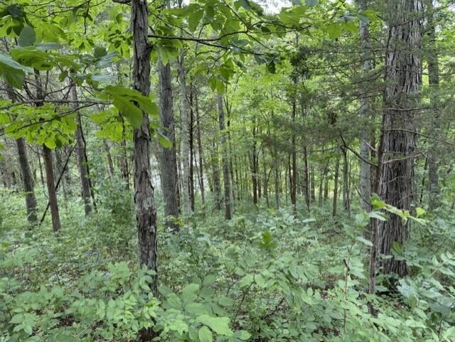 0 Pea Ridge Road Property Photo 37