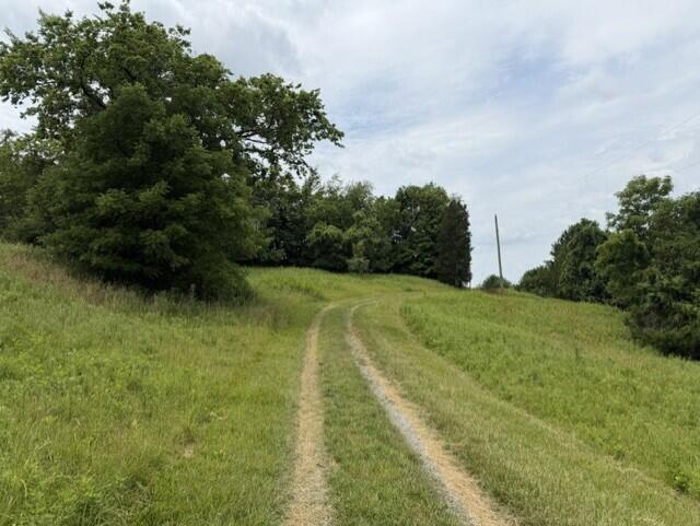 0 Pea Ridge Road Property Photo 38