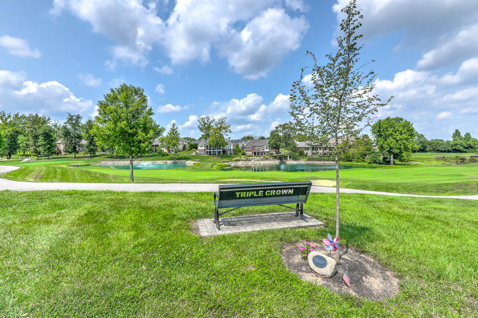 1173 Monarchos Ridge Property Photo 47