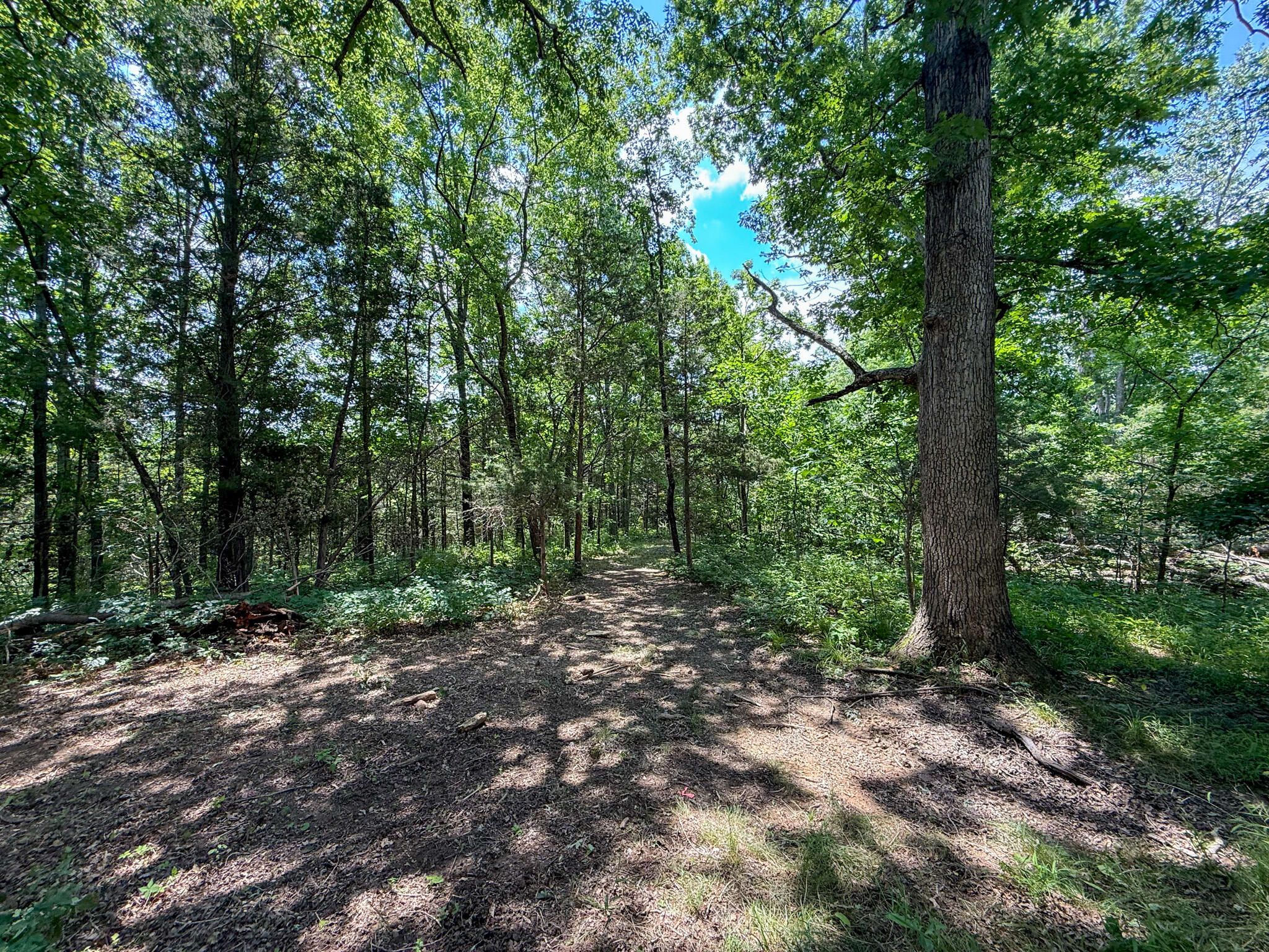 9102 Kentontown Road Property Photo 6