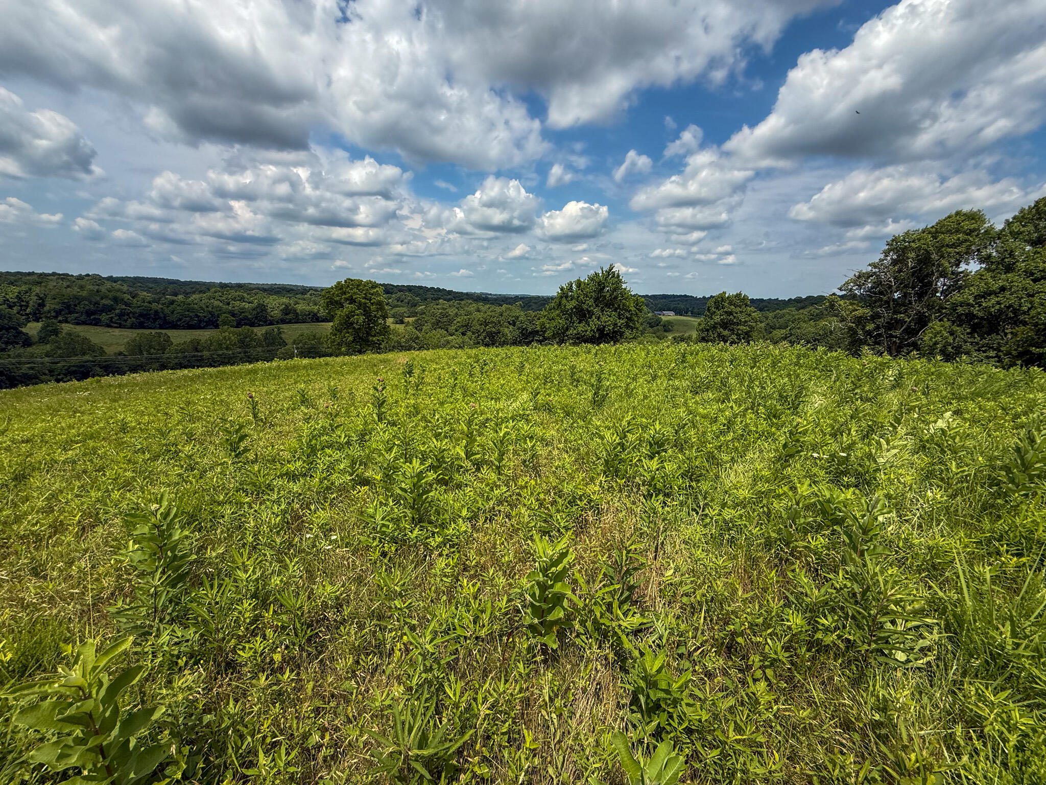 9102 Kentontown Road Property Photo 7