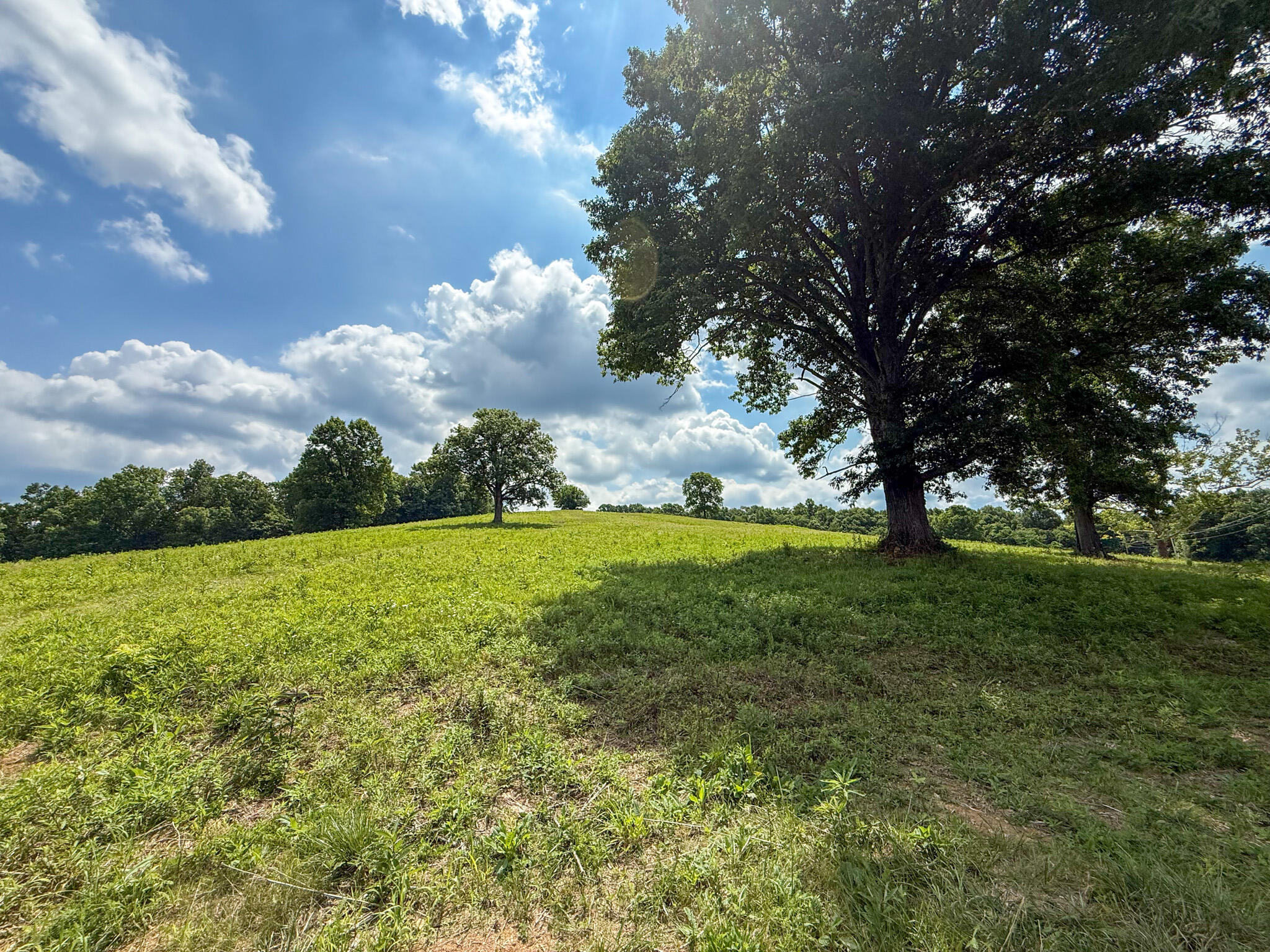 9102 Kentontown Road Property Photo 29
