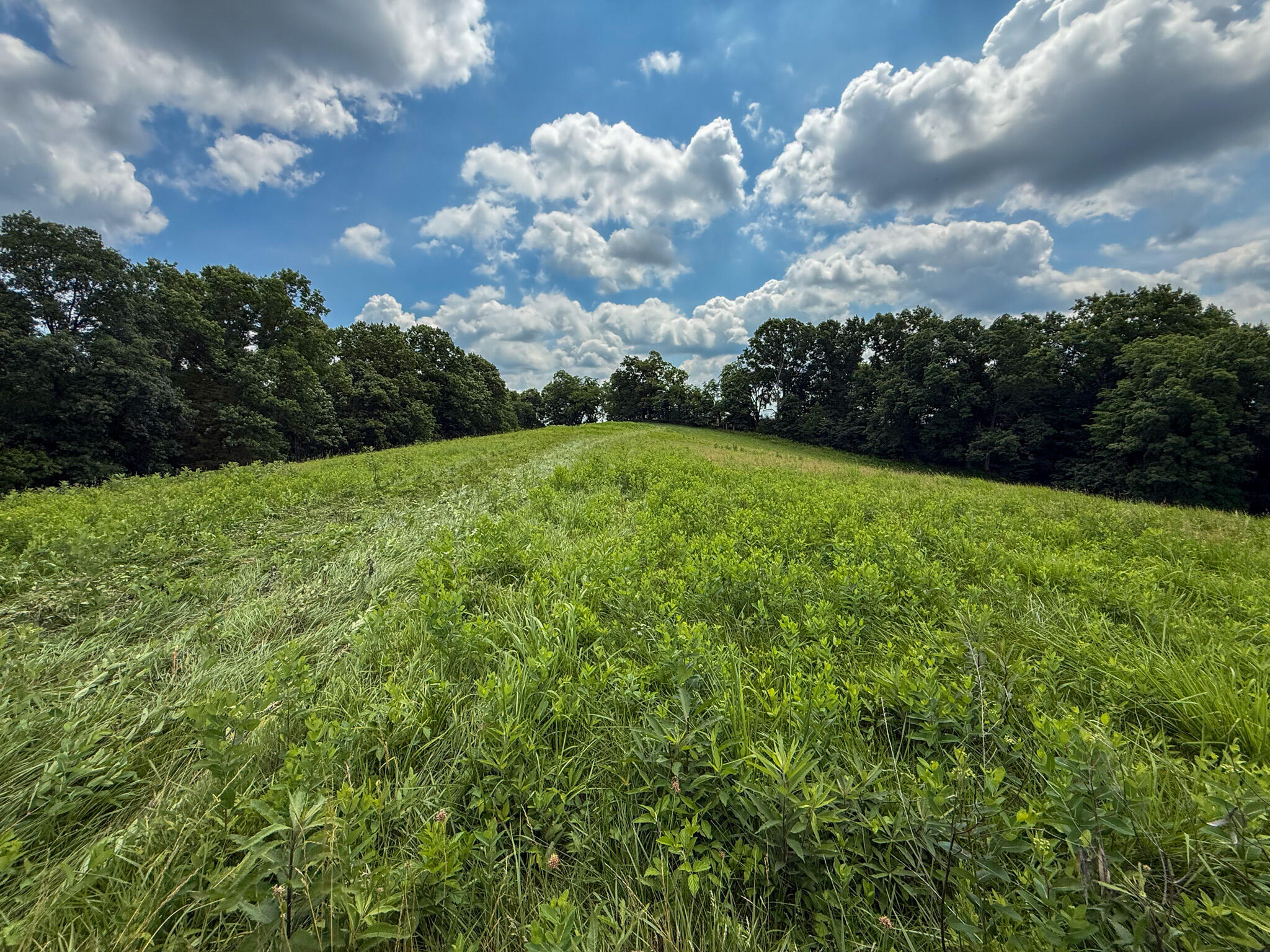 9102 Kentontown Road Property Photo 30