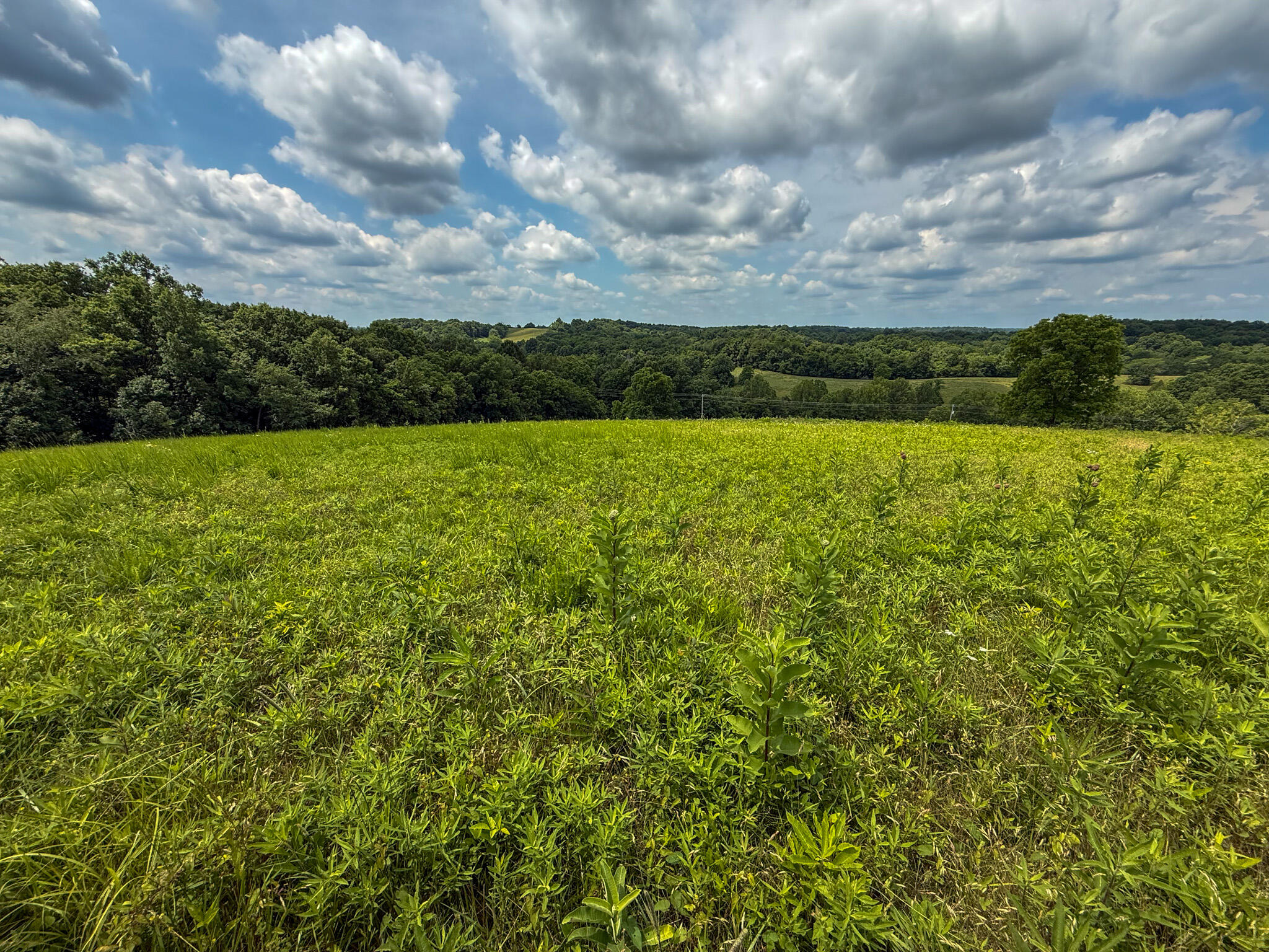 9102 Kentontown Road Property Photo 31