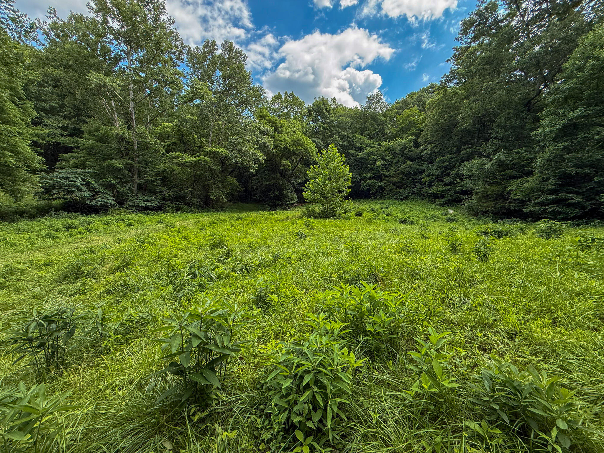 9102 Kentontown Road Property Photo 34