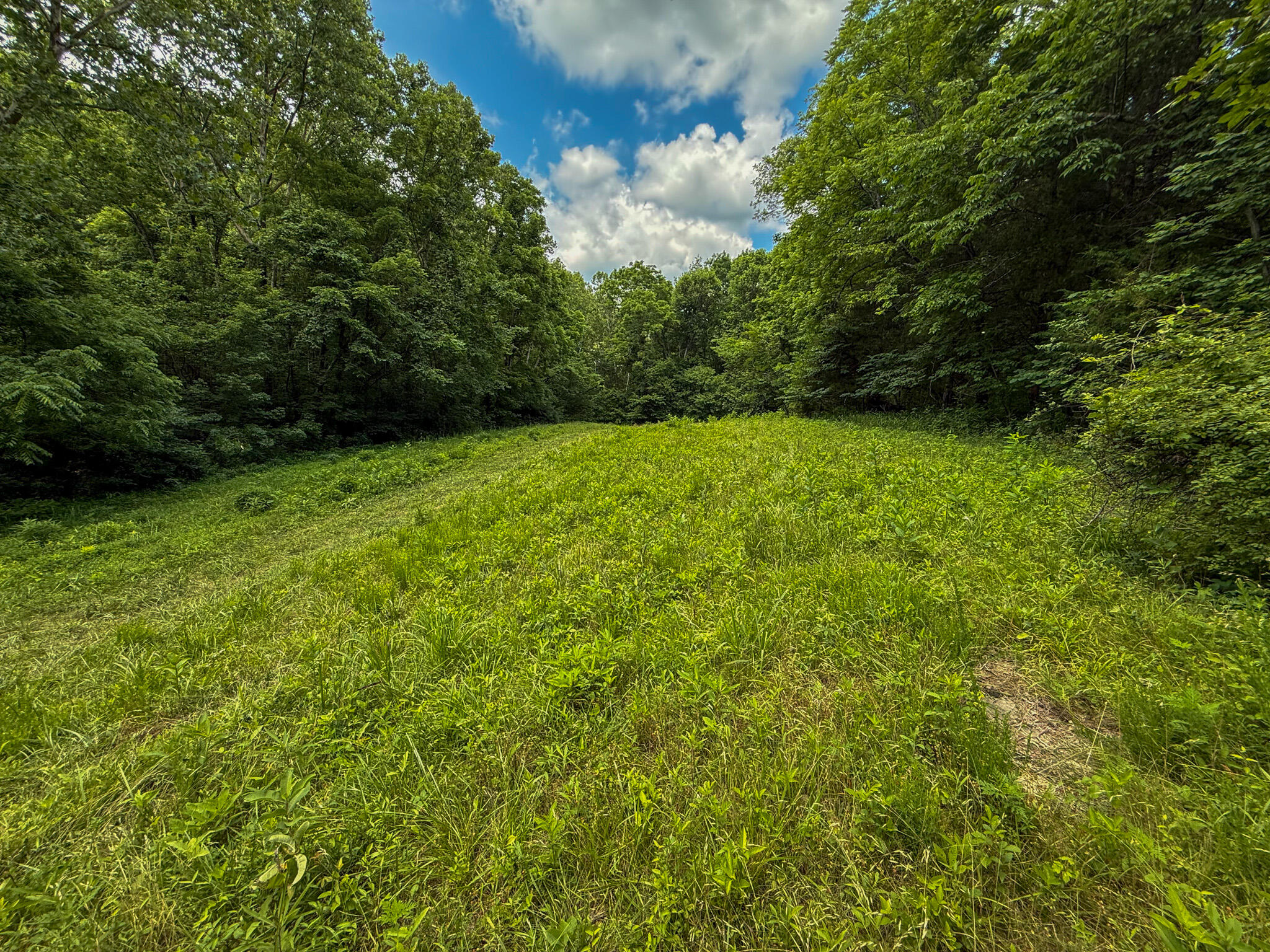 9102 Kentontown Road Property Photo 35