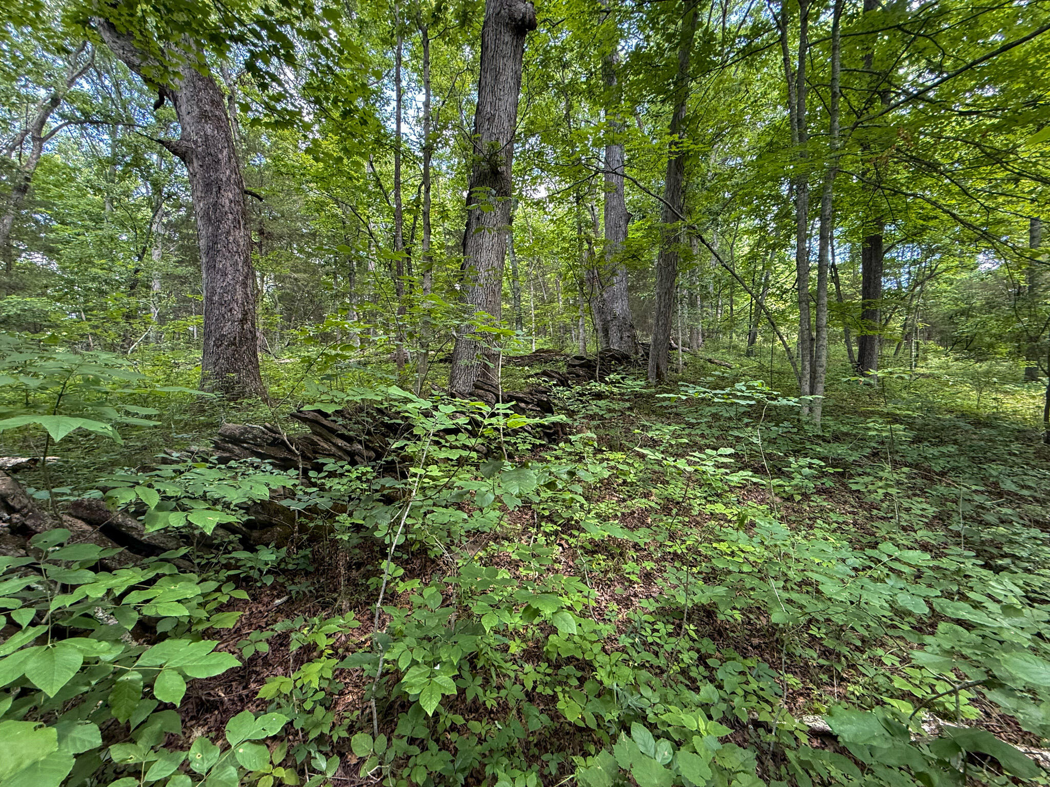9102 Kentontown Road Property Photo 36
