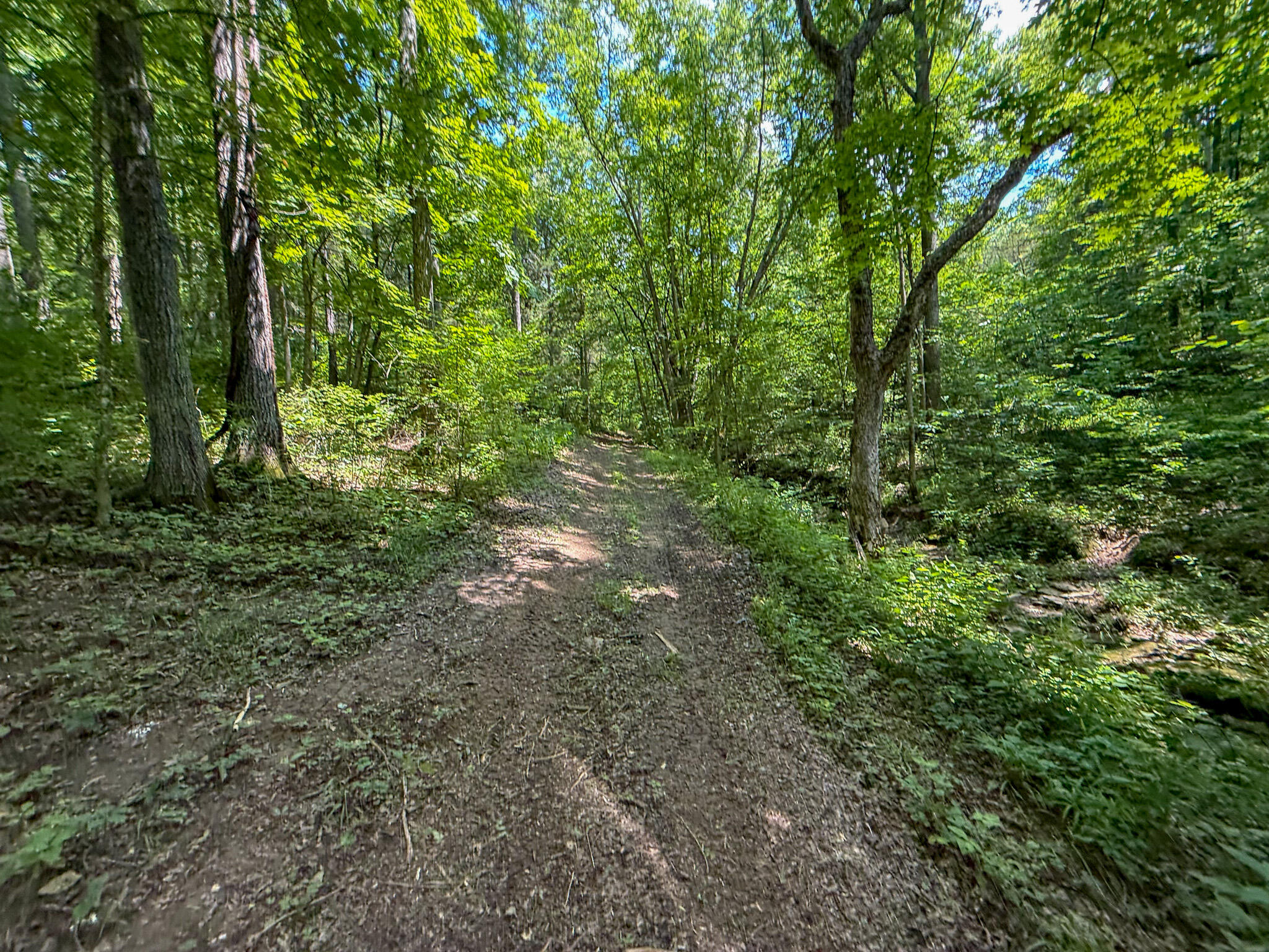 9102 Kentontown Road Property Photo 38