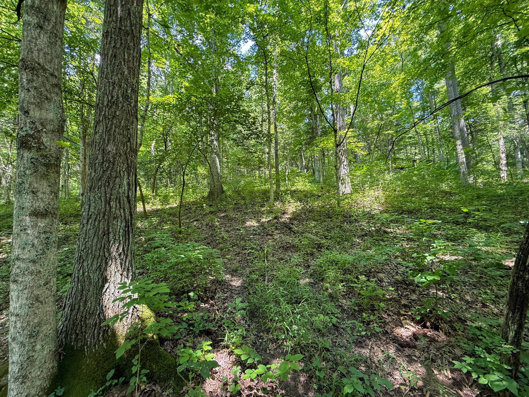 9102 Kentontown Road Property Photo 39