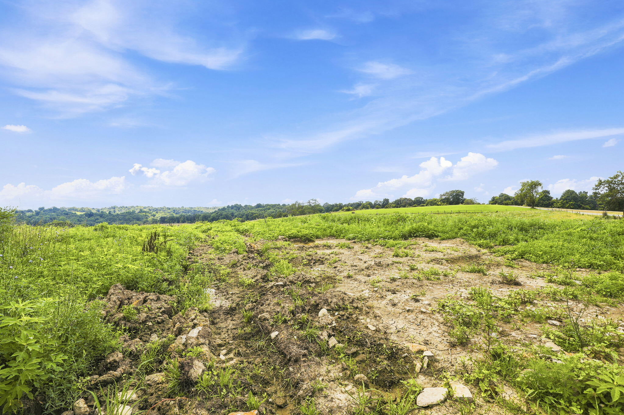 525 Chipman Ridge Road Property Photo 40