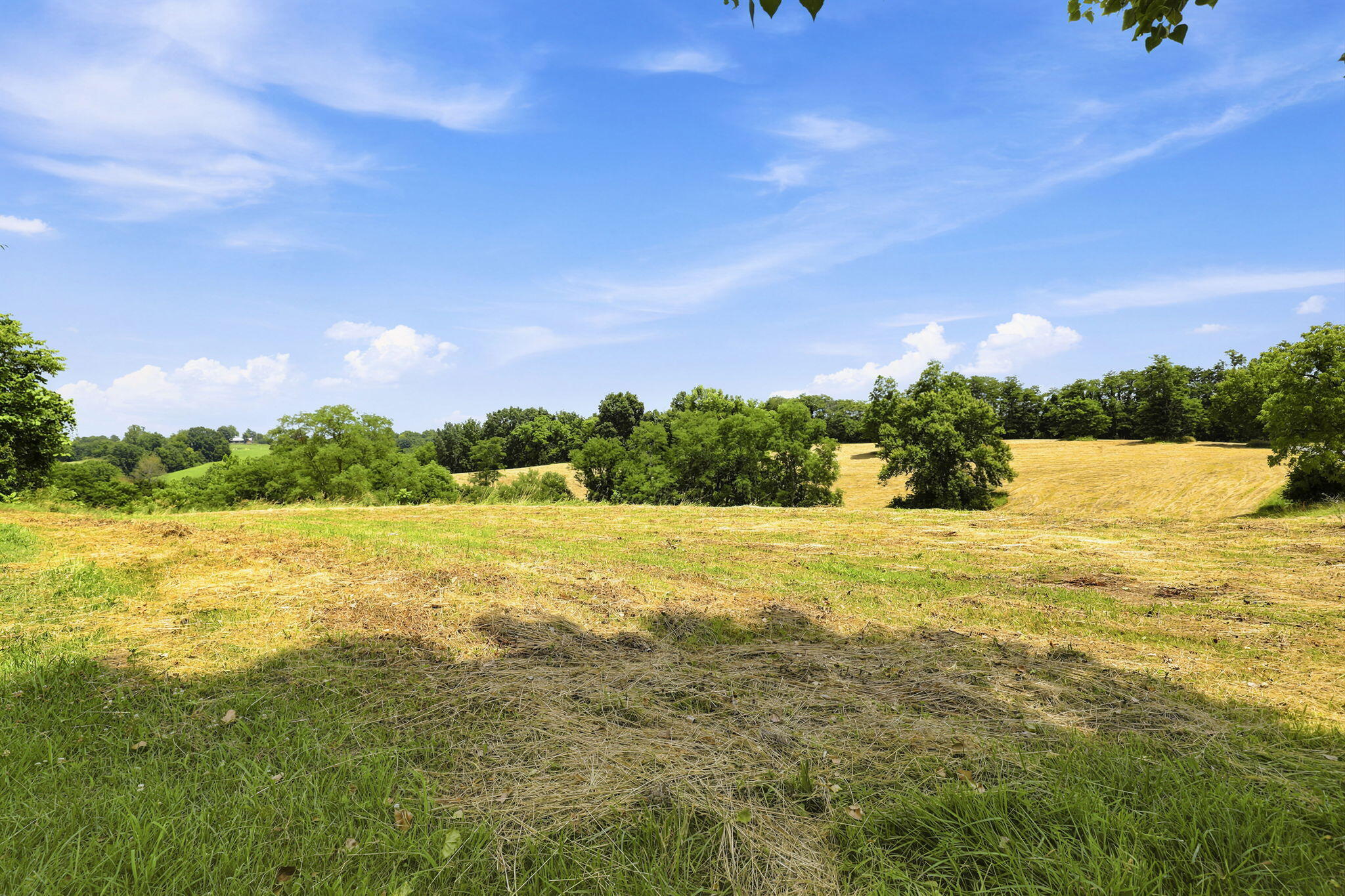 525 Chipman Ridge Road Property Photo 41