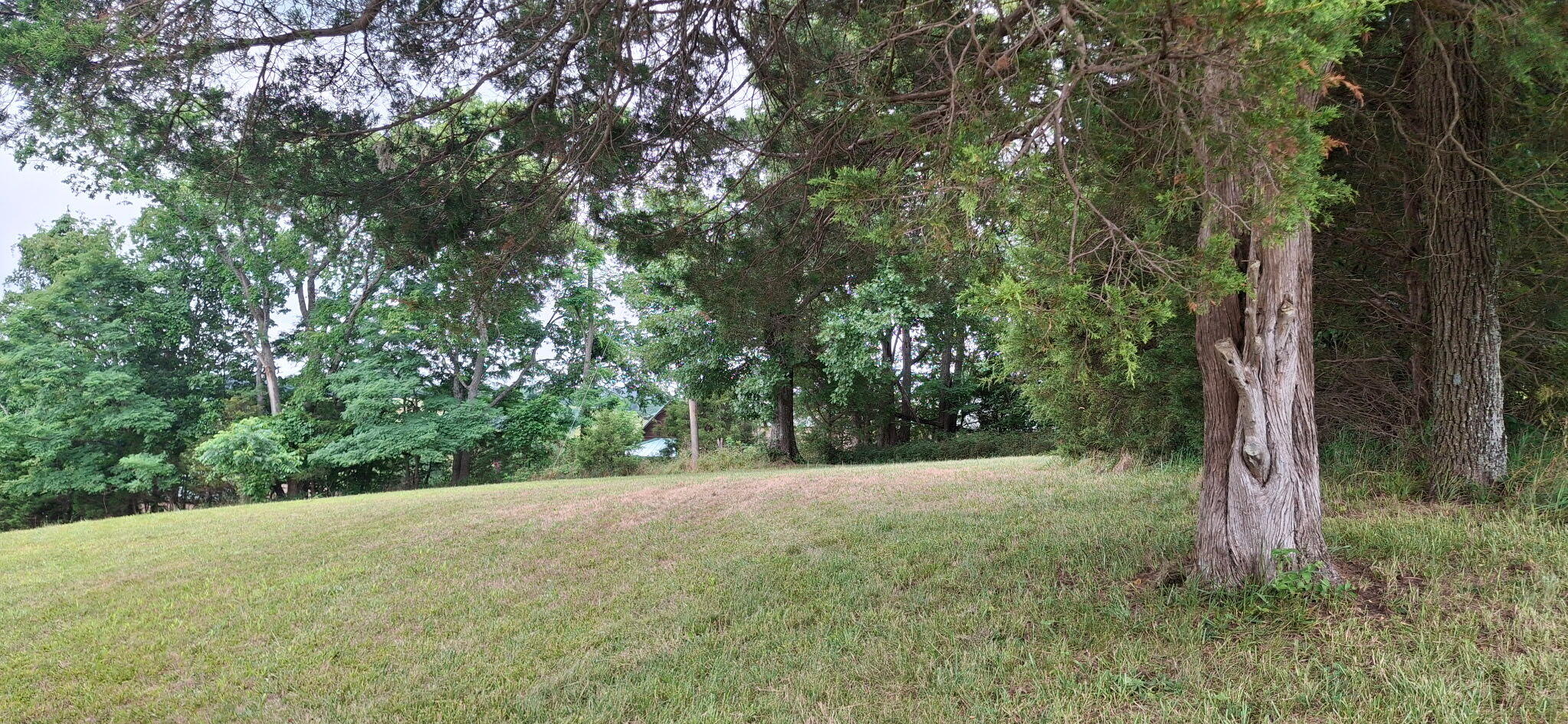 0 Tract 1 Cordova Road Property Photo 1