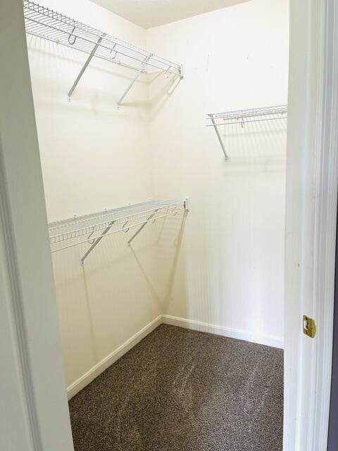 805 Slate View Property Photo 13