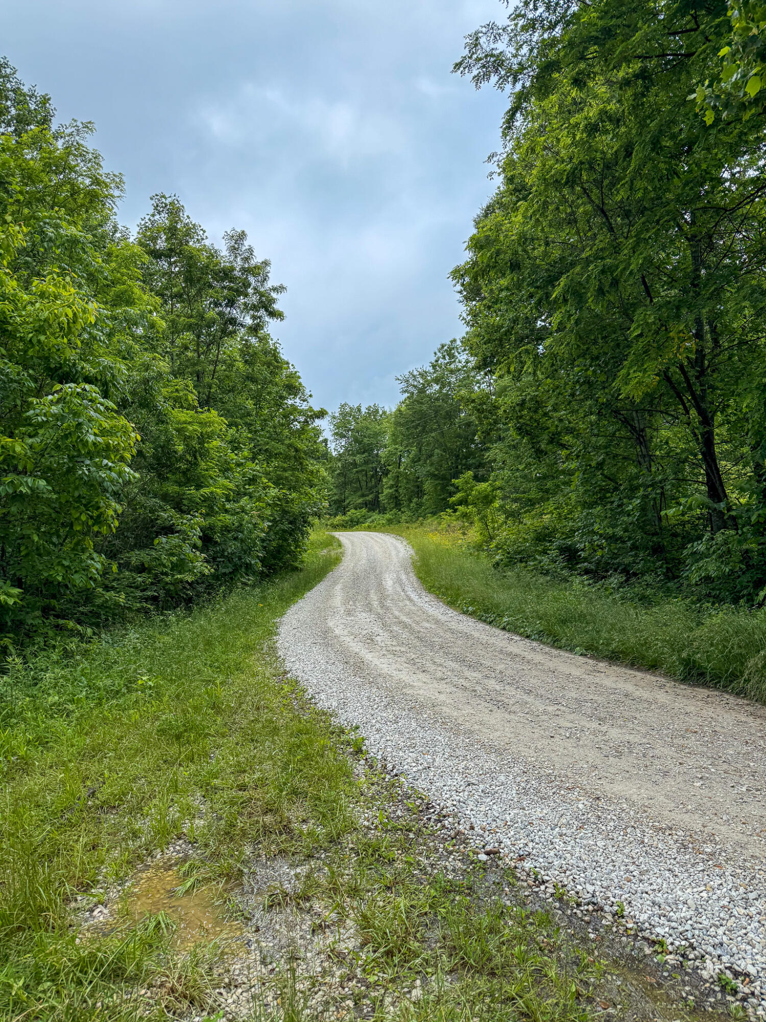 0 Thorp Ridge Road Property Photo 1