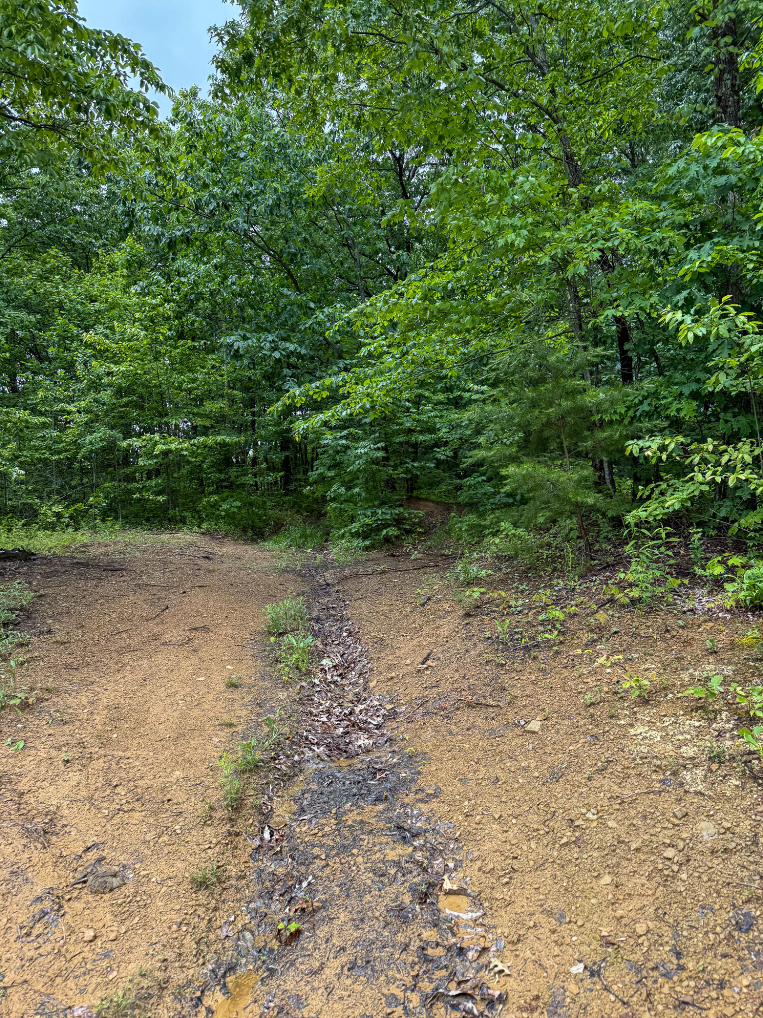 0 Thorp Ridge Road Property Photo 15
