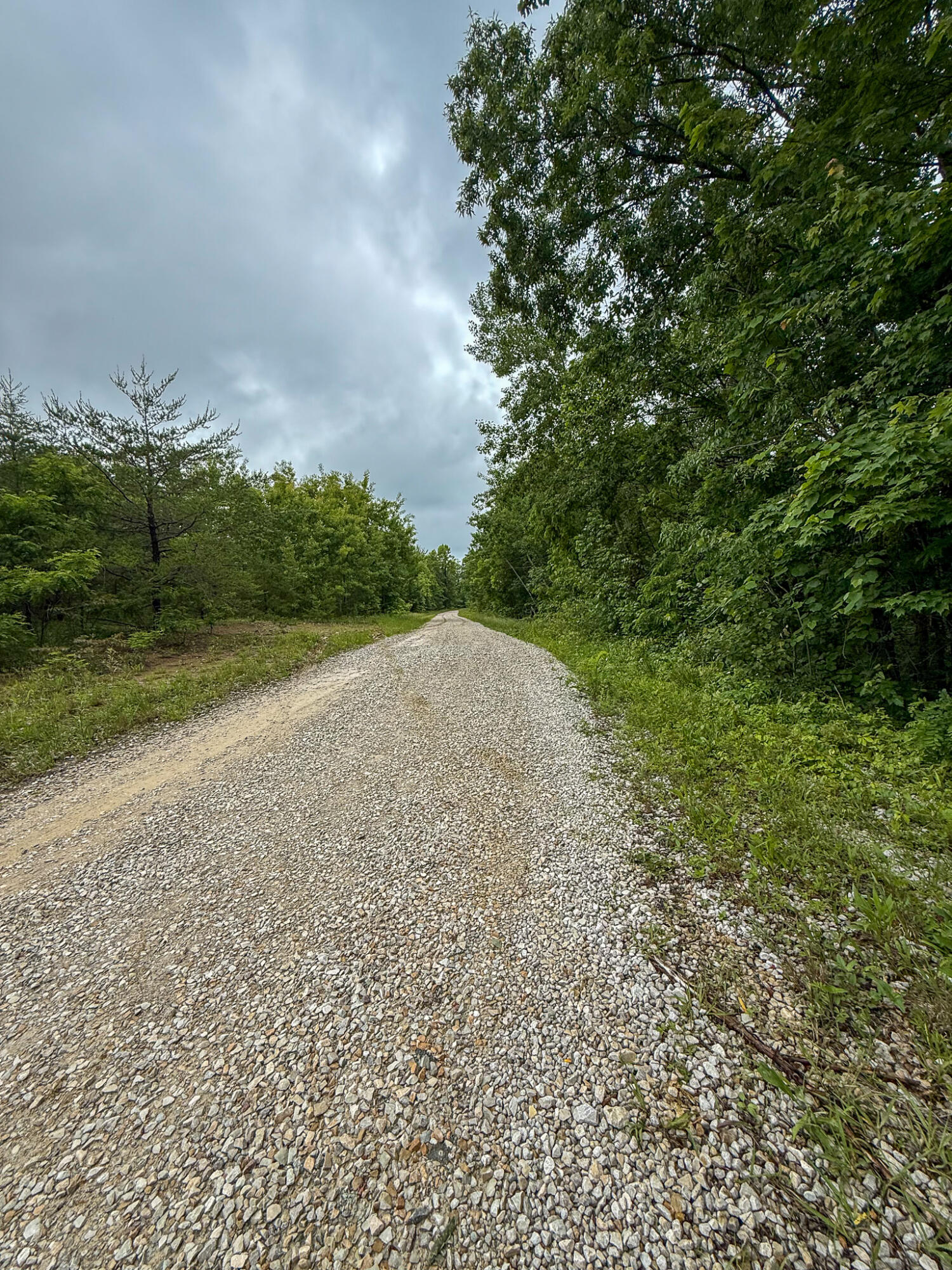 0 Thorp Ridge Road Property Photo 16