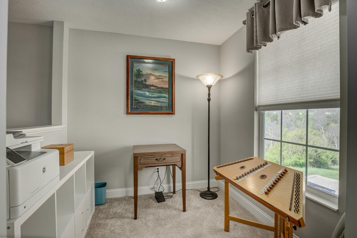 110 Saffron Circle Property Photo 18