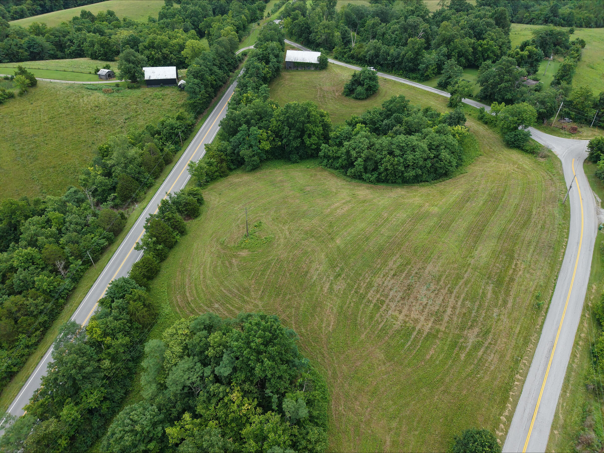 644733 Property Photo 3