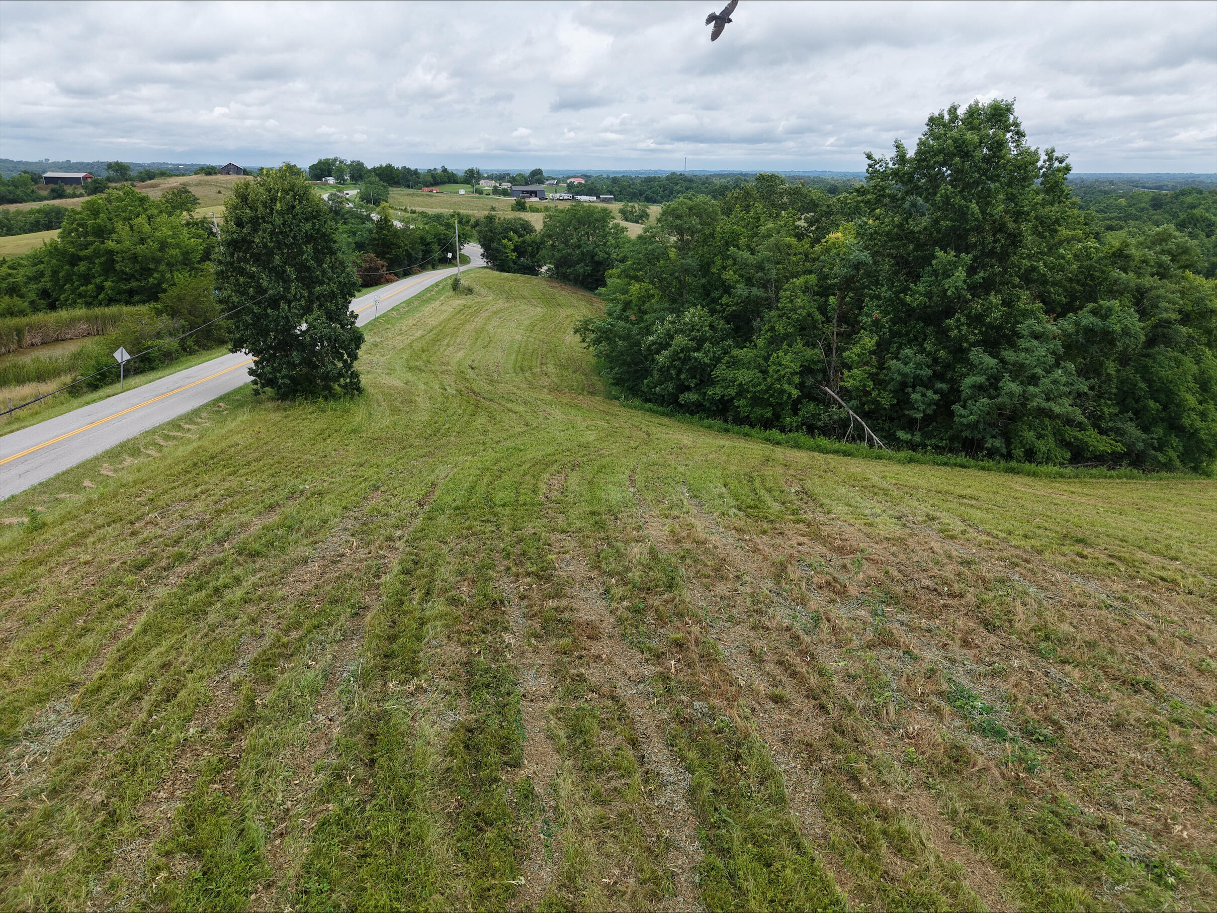 644733 Property Photo 12