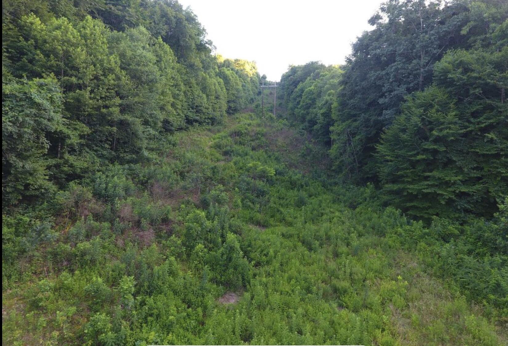 0 Spring Road Property Photo 6