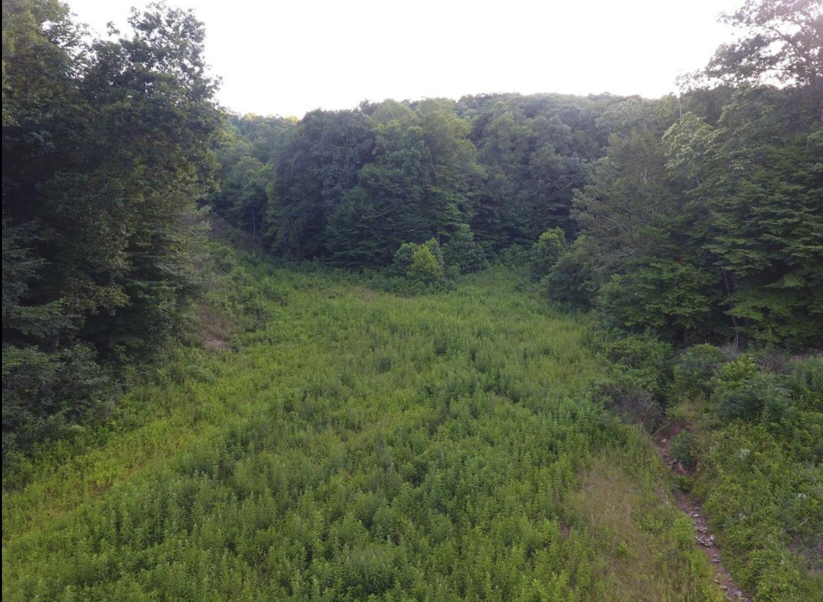 0 Spring Road Property Photo 8