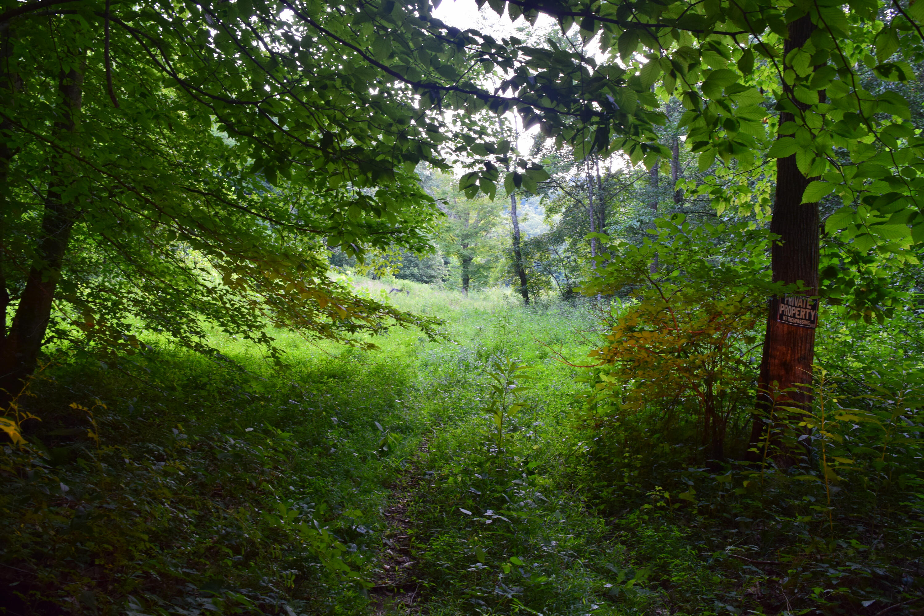 0 Spring Road Property Photo 10