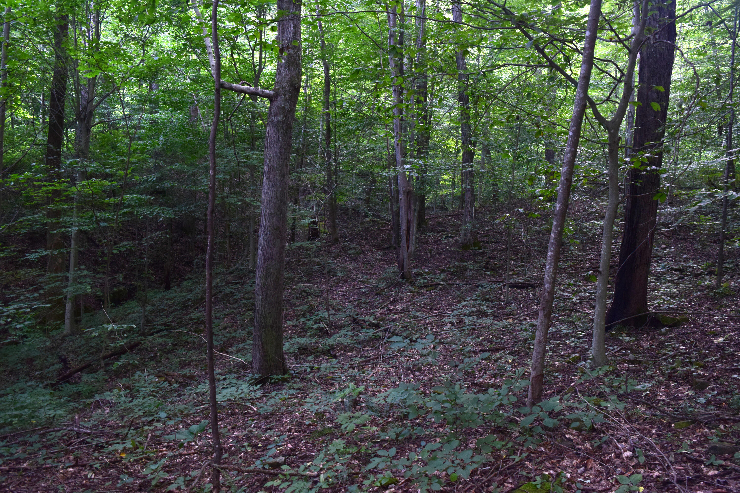 0 Spring Road Property Photo 12