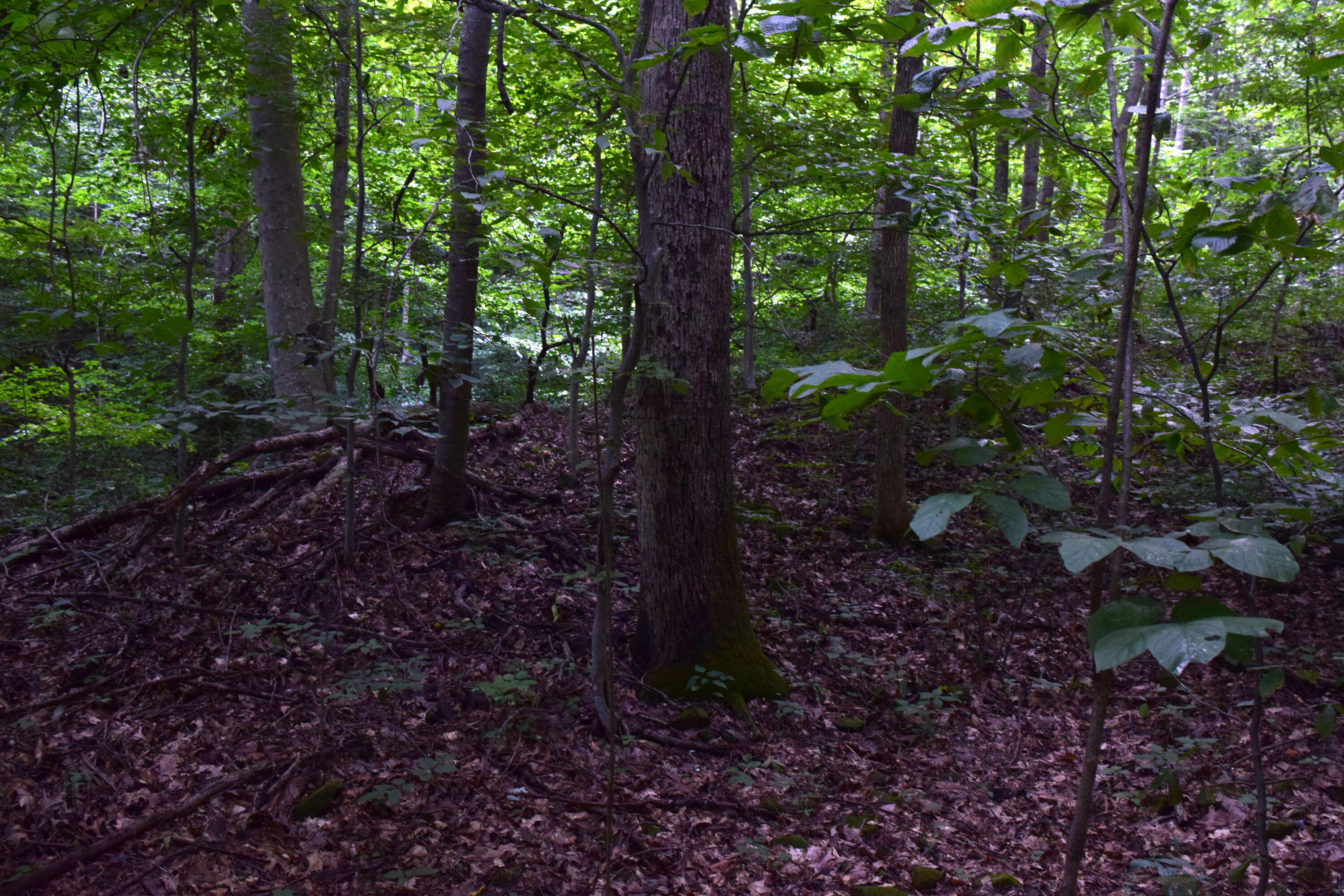 0 Spring Road Property Photo 13