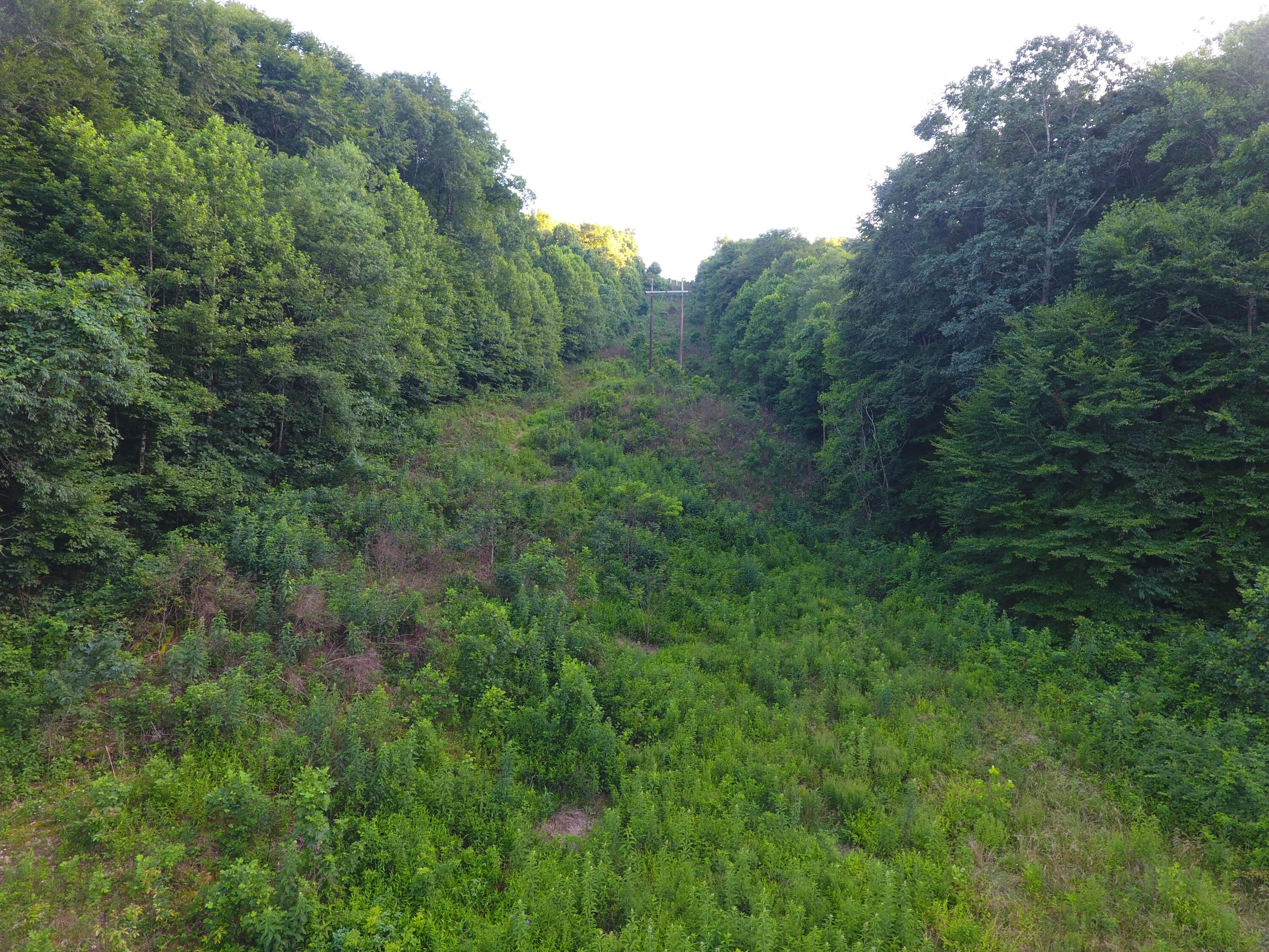 0 Spring Road Property Photo 28