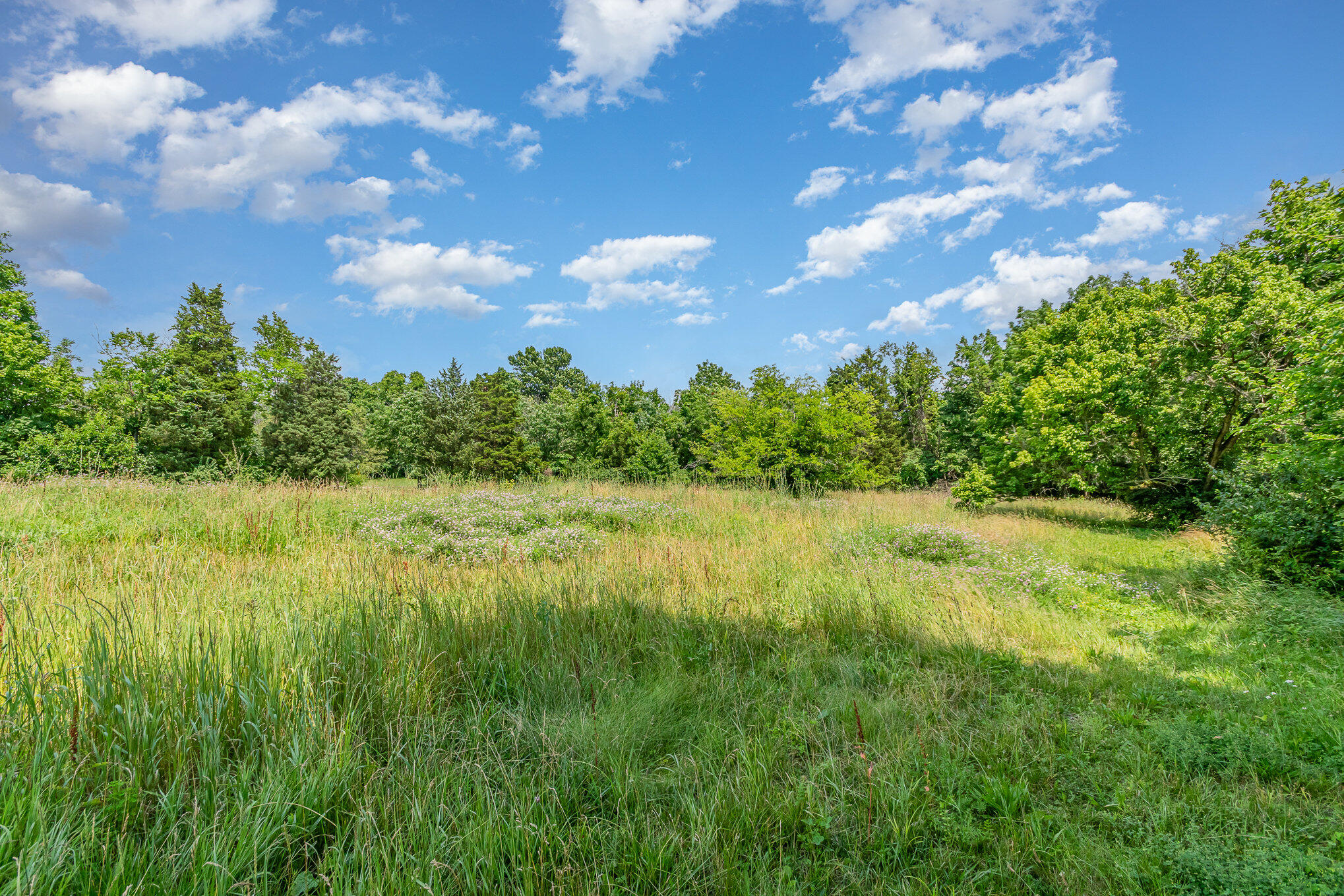 6823 Dixie Hwy Property Photo 12