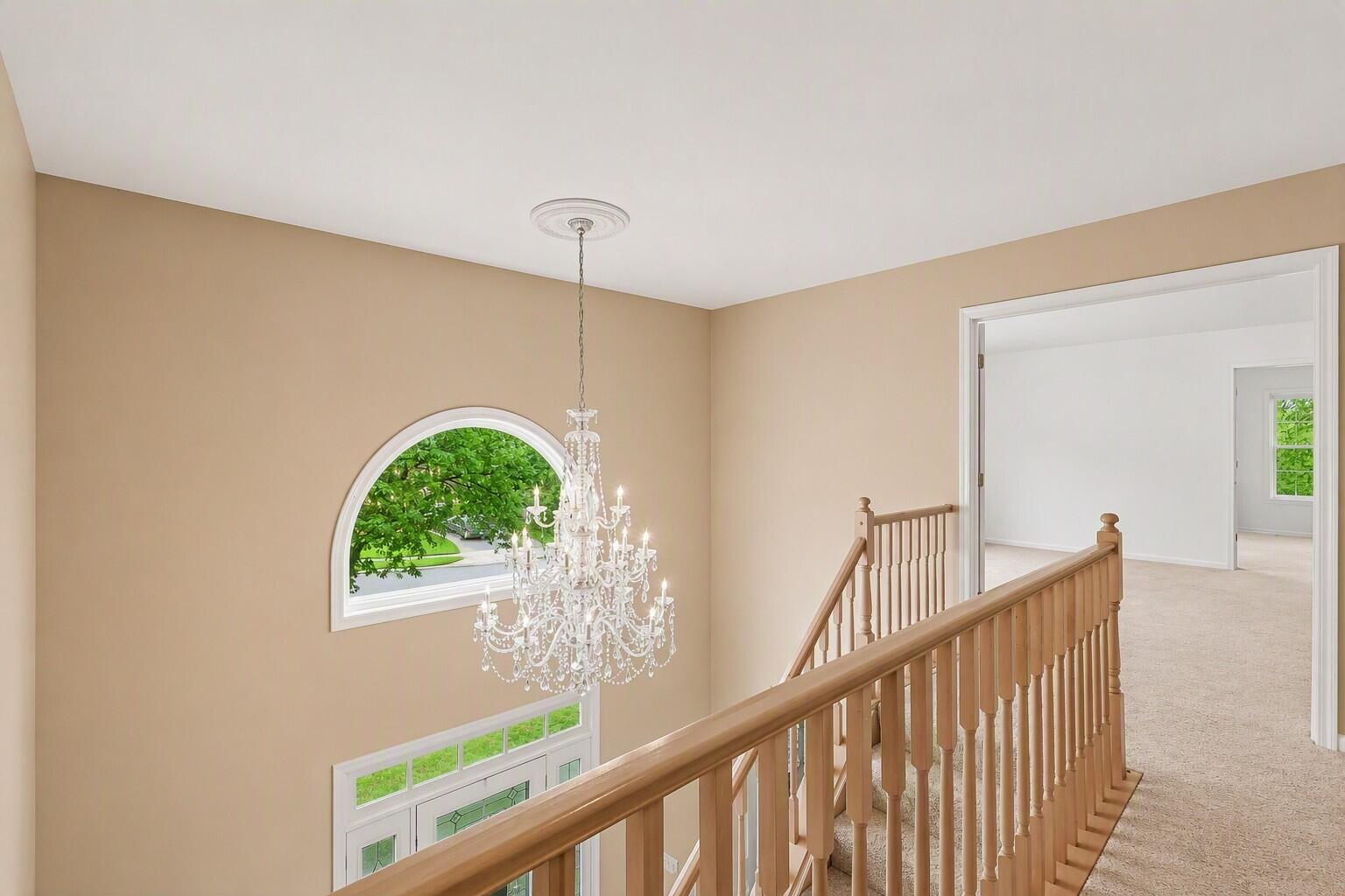 10937 Arcaro Lane Property Photo 16