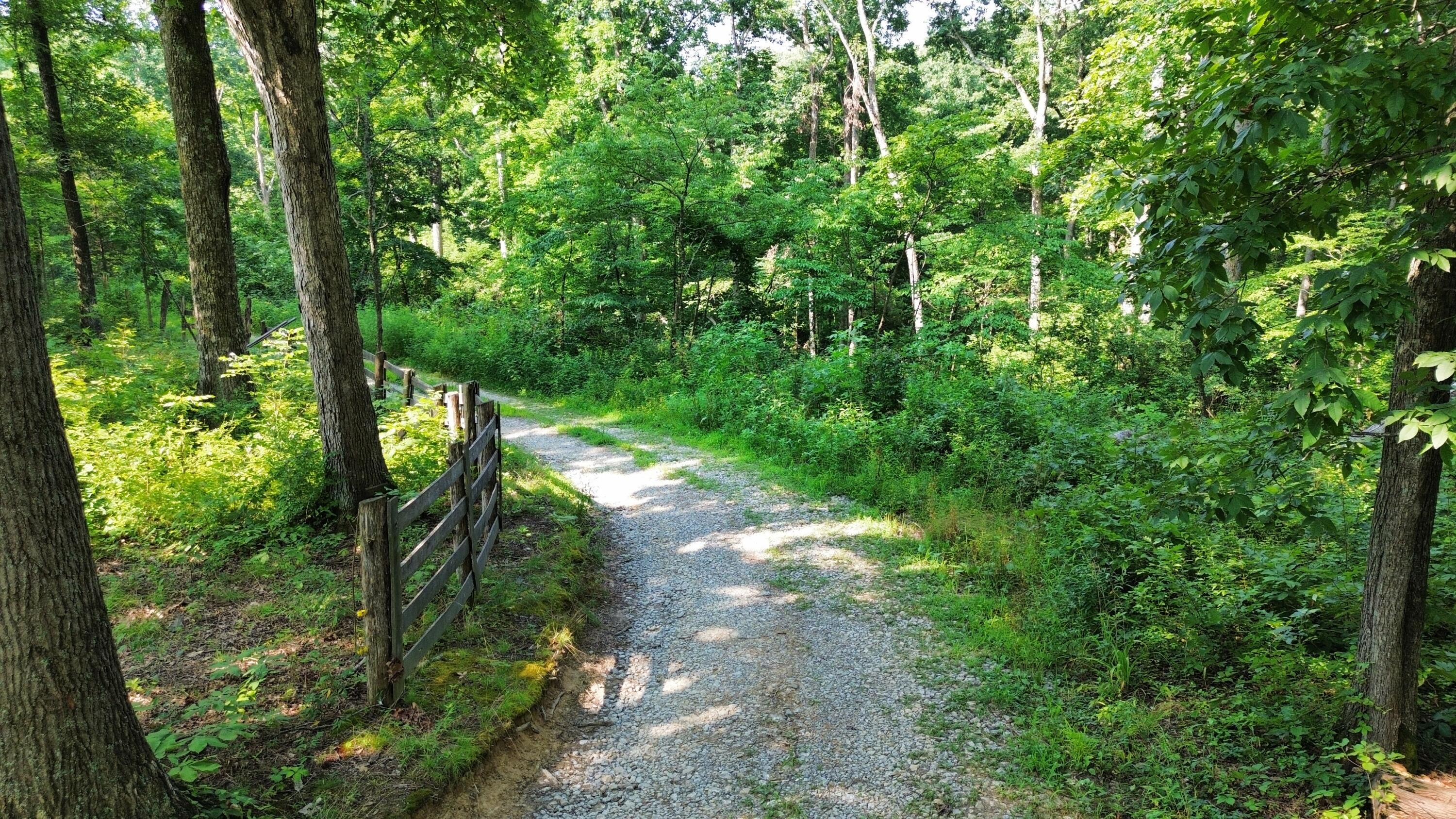277 Needham Lane Property Photo 10