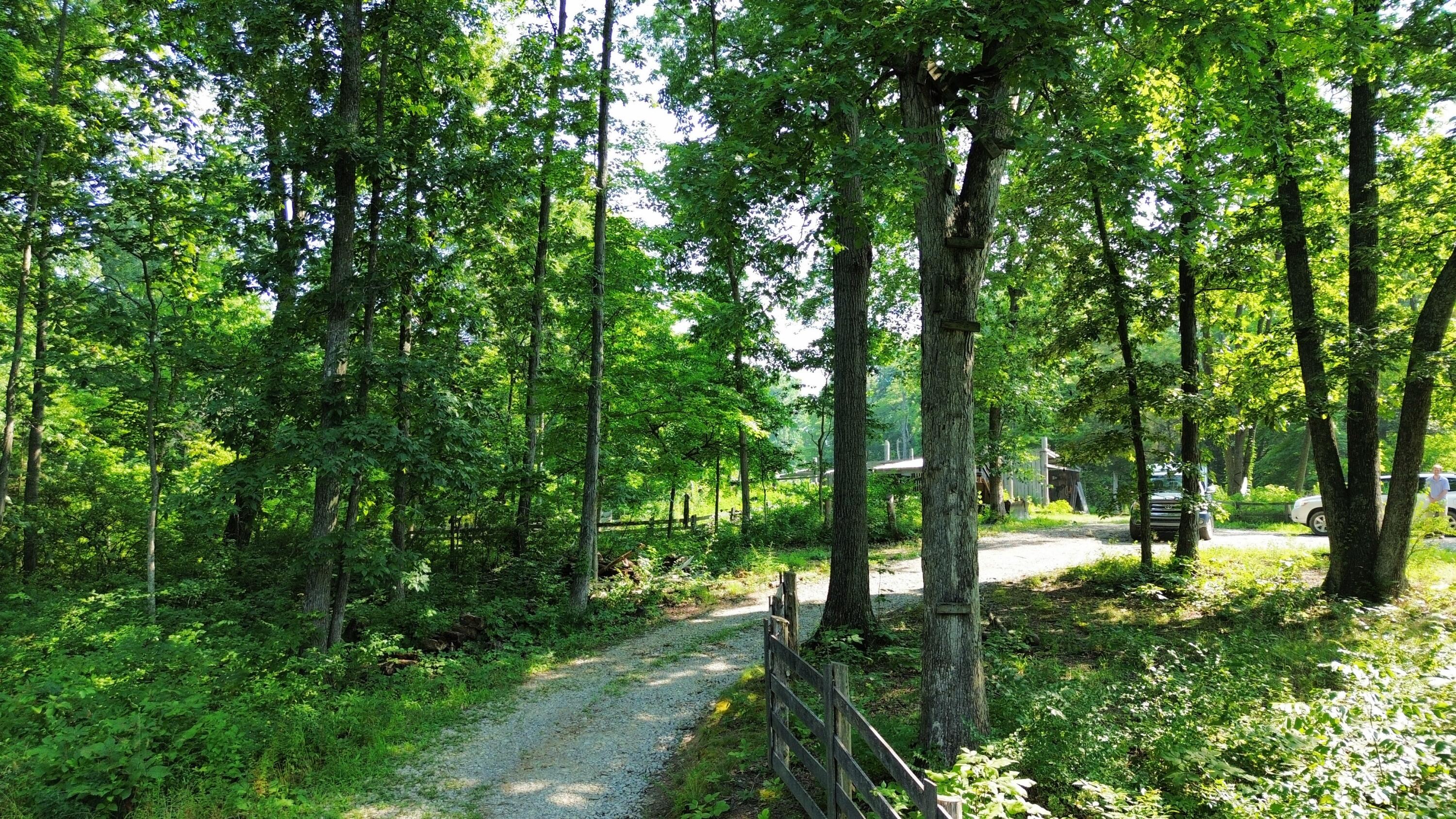 277 Needham Lane Property Photo 11
