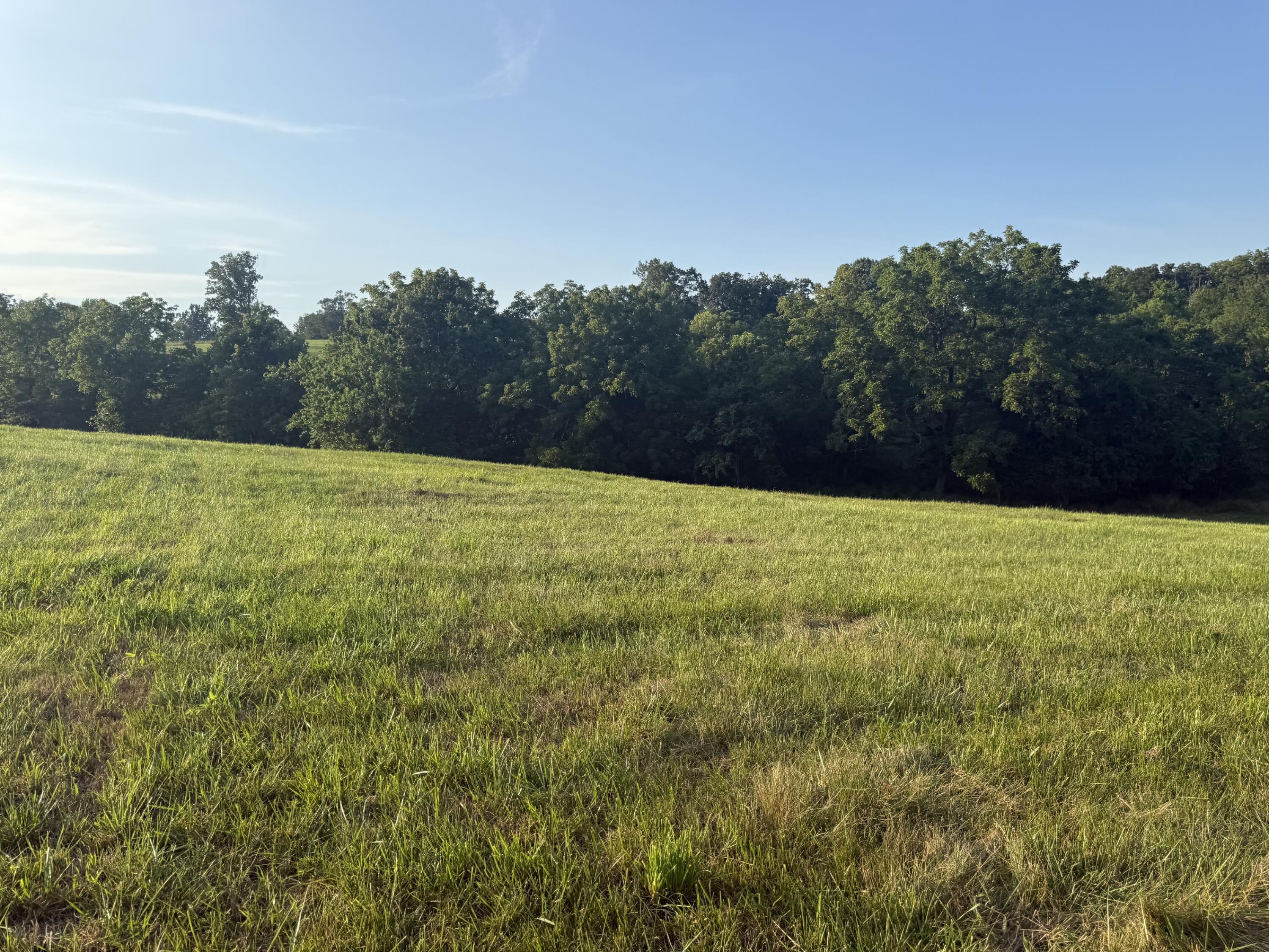 0 Renaker-berry Road Property Photo 10