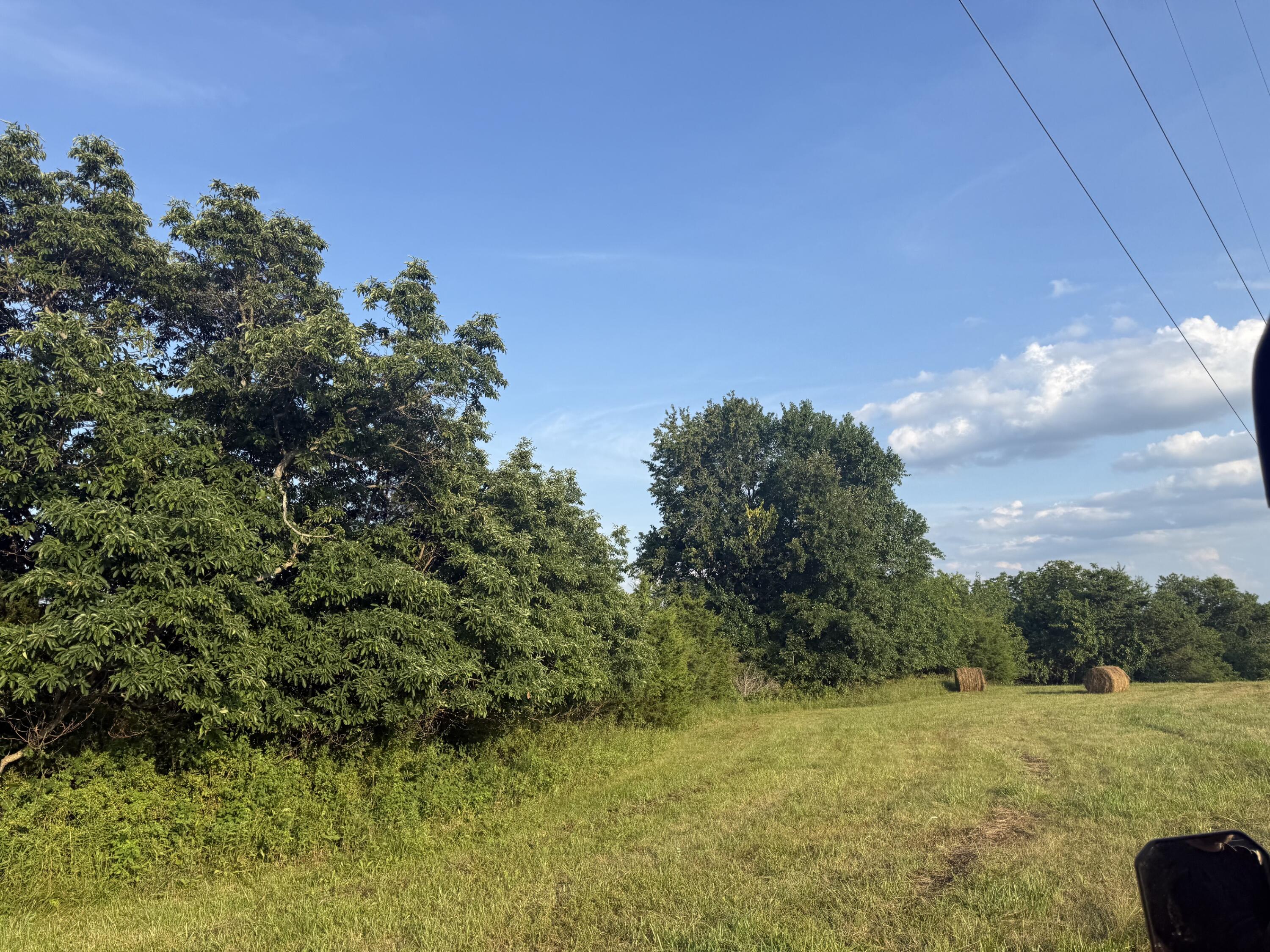 0 Renaker-berry Road Property Photo 12