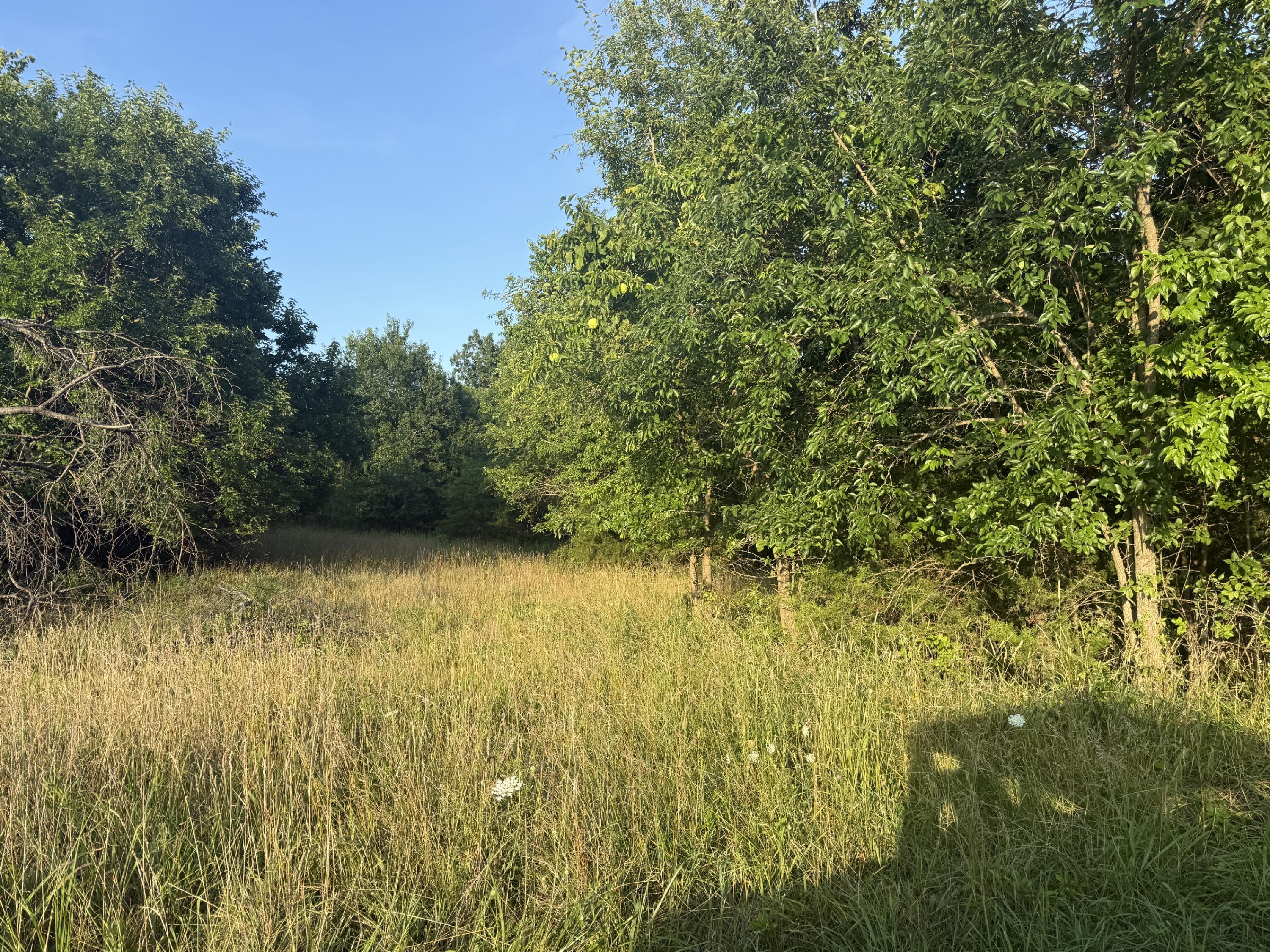 0 Renaker-berry Road Property Photo 14