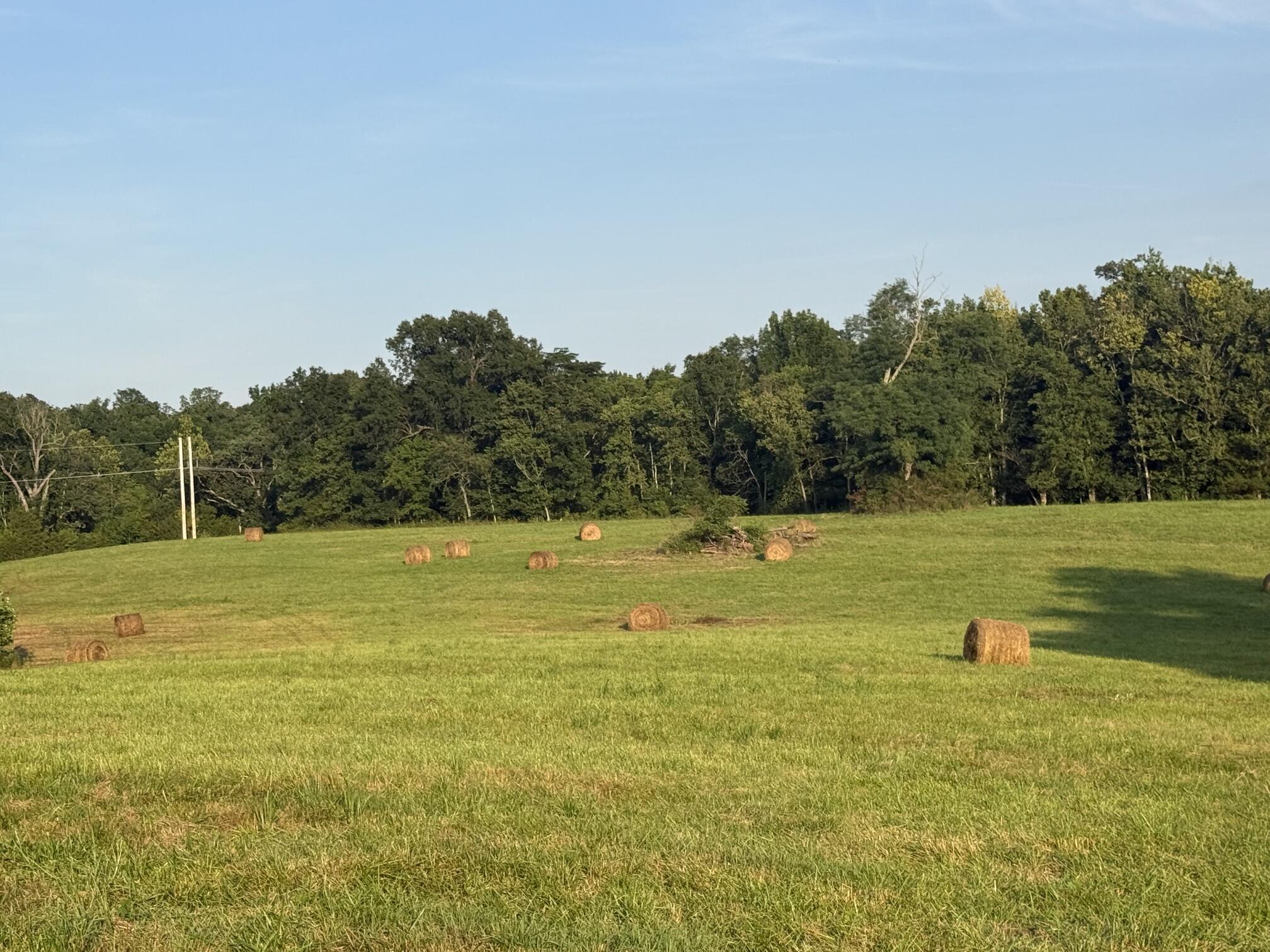 0 Renaker-berry Road Property Photo 16
