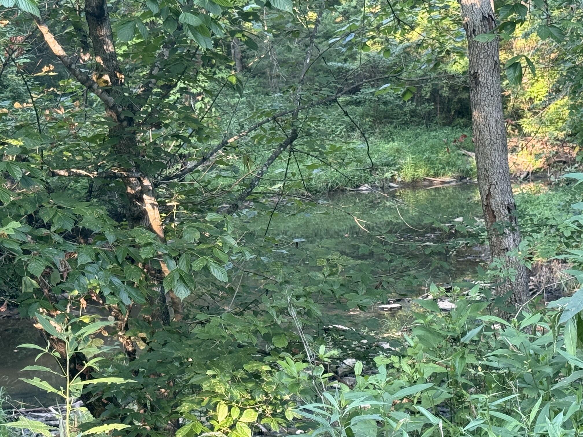 0 Renaker-berry Road Property Photo 22