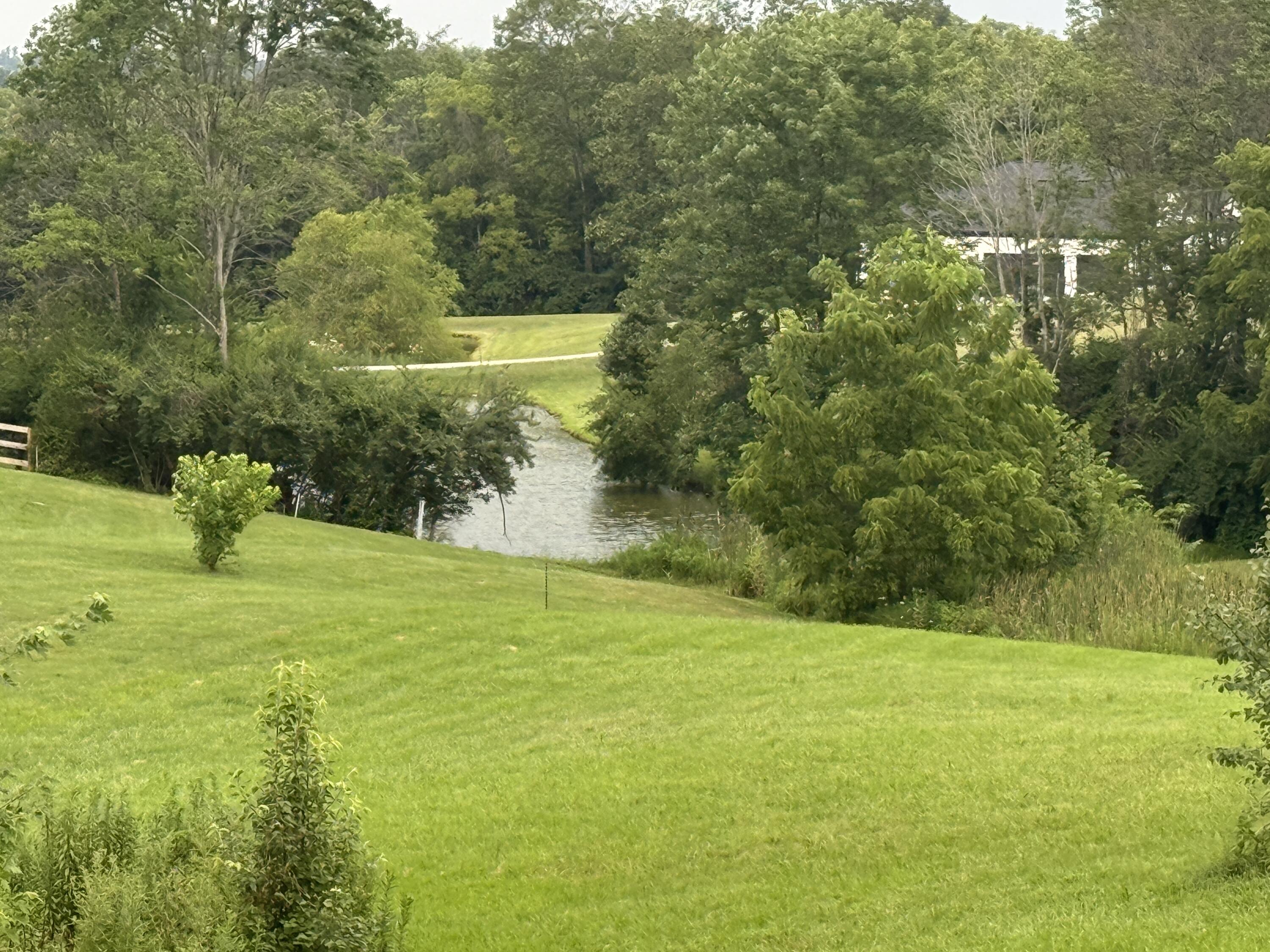 2009 Rice Pike Property Photo 6