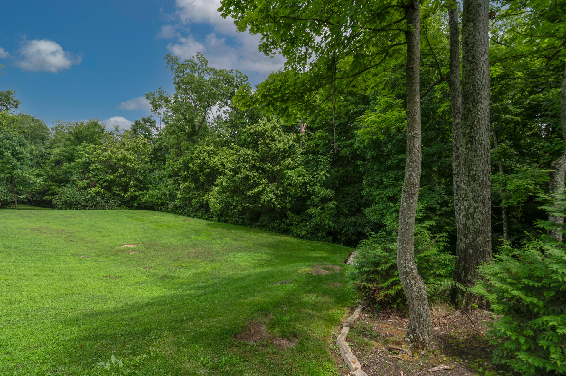 1880 Whetherstone Ridge Property Photo 43