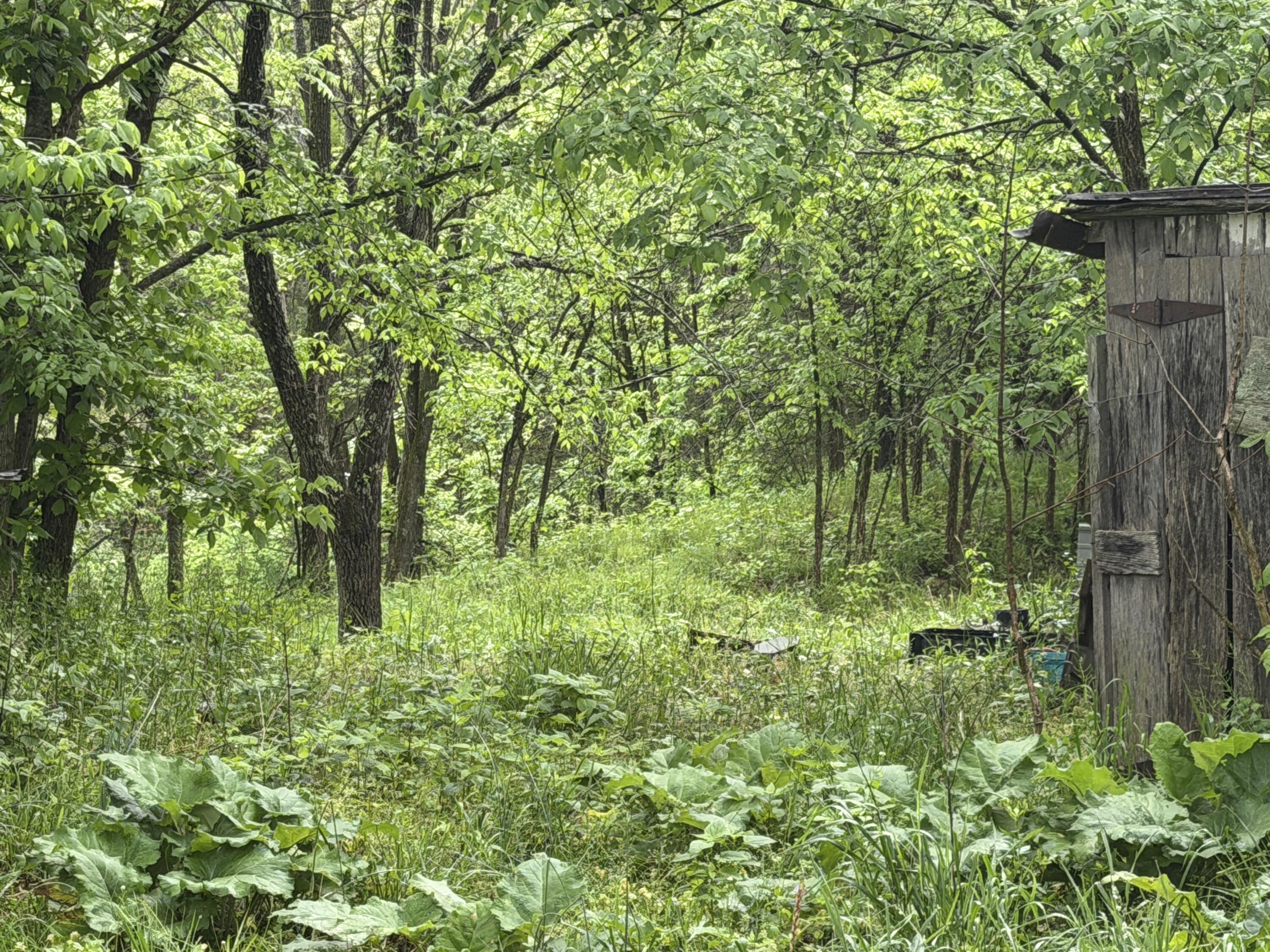 2728 Pea Ridge Road Property Photo 1