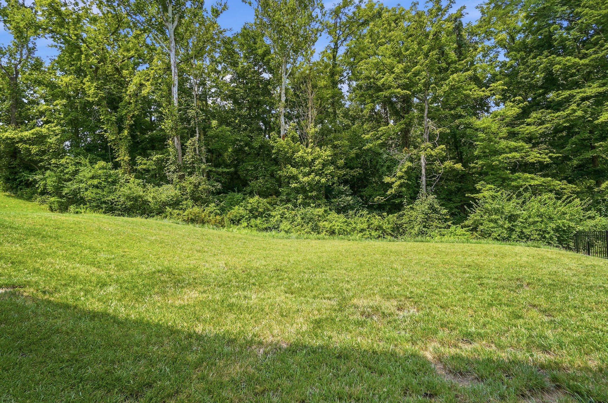 1631 Stone Crest Drive Property Photo 49